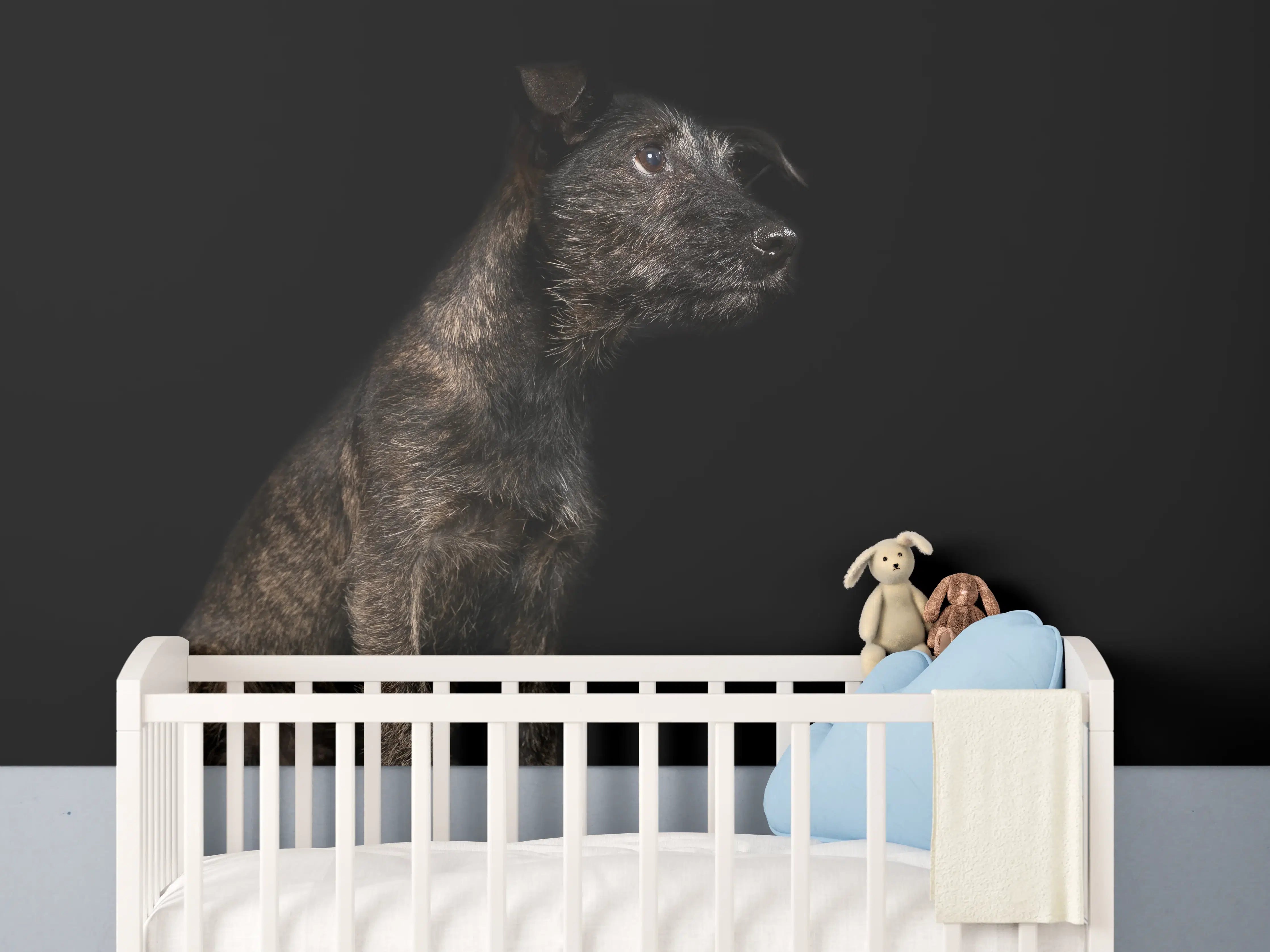 Babyzimmer Wandgestaltung - Dunkler Cairn Terrier Hund