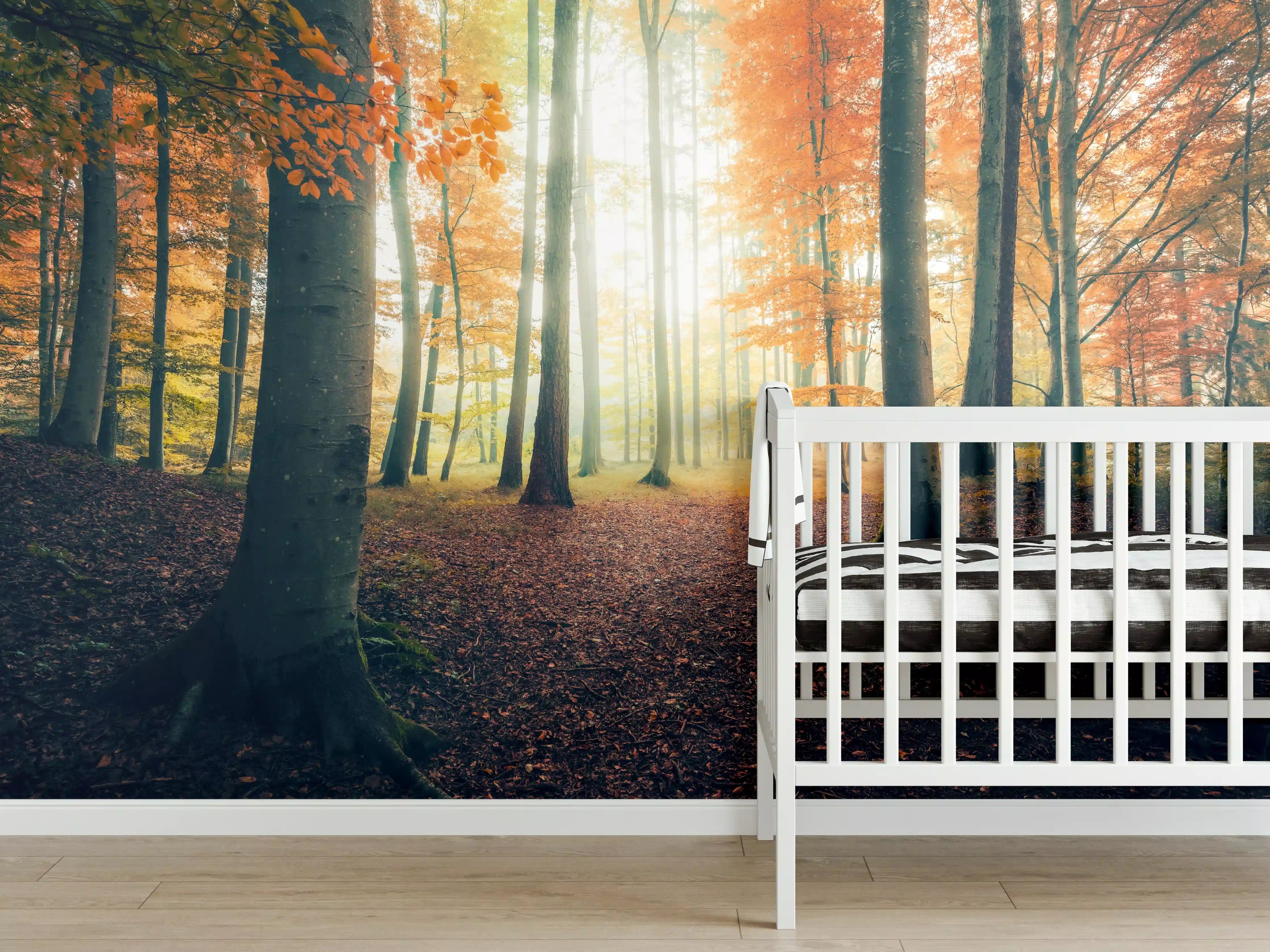 Babyzimmer Wandgestaltung - Dunkler Wald im Herbst