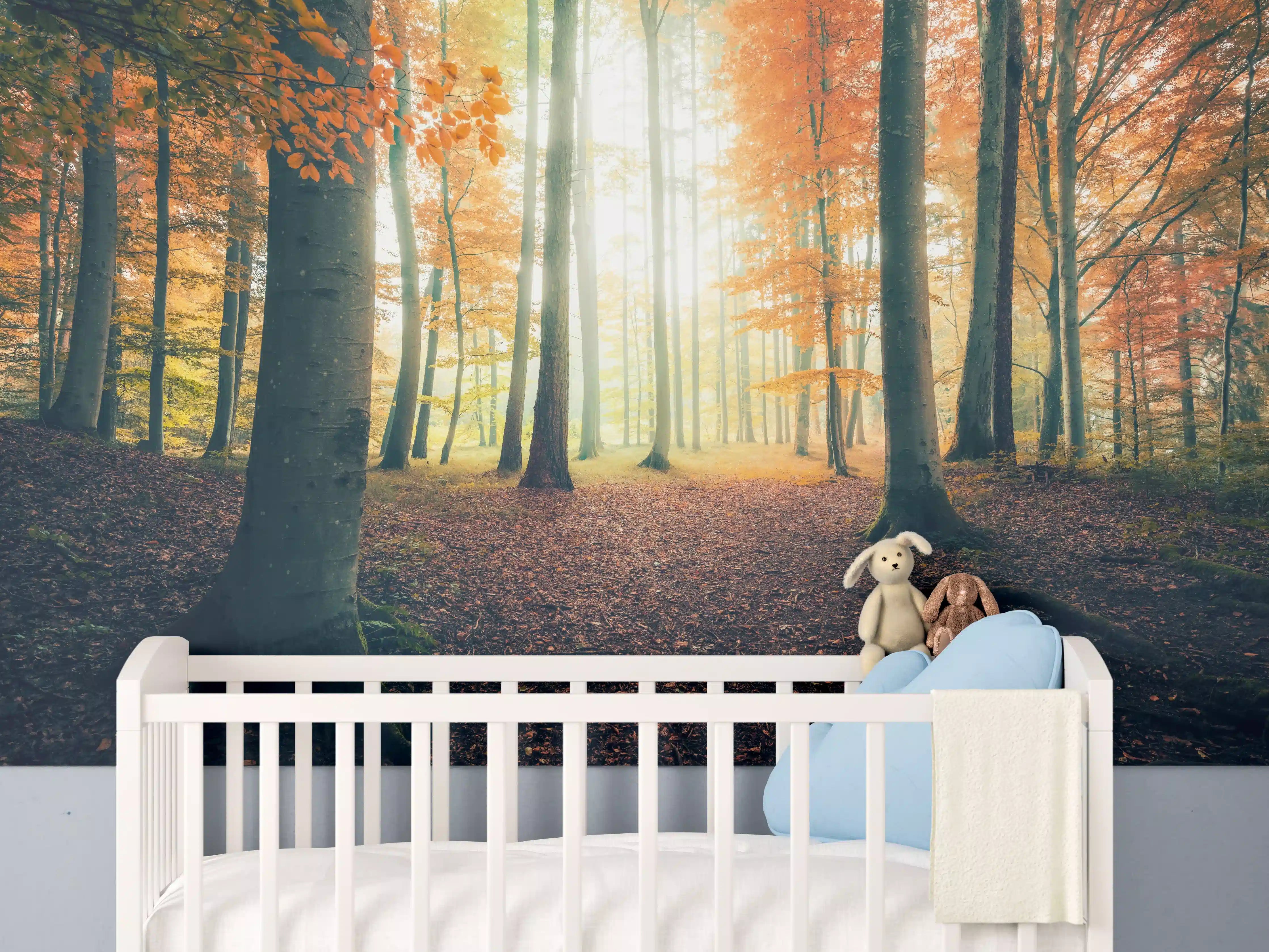 Babyzimmer Wandgestaltung - Dunkler Wald im Herbst