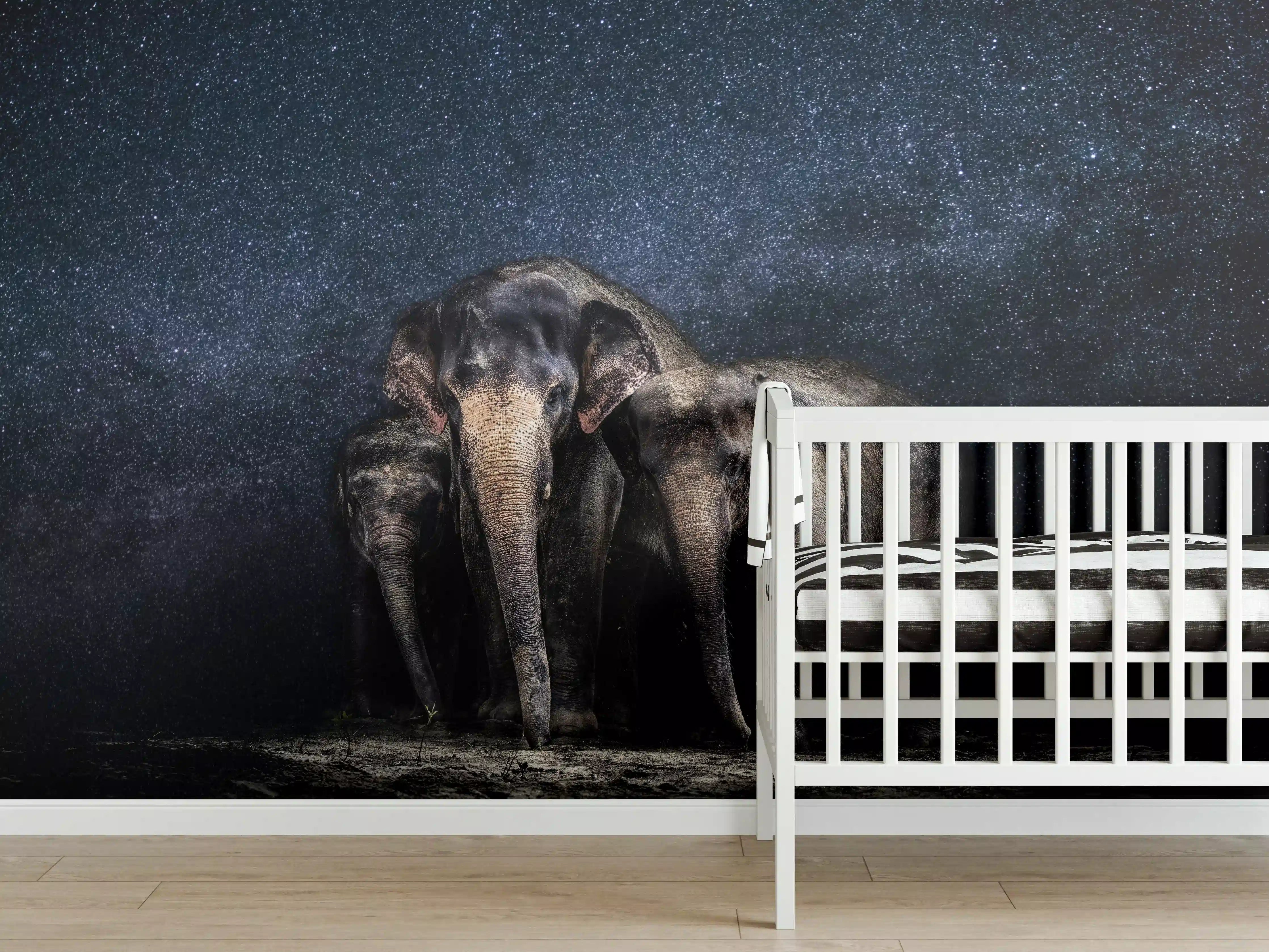 Babyzimmer Wandgestaltung - Elefantenfamilie zwischen den Sternen
