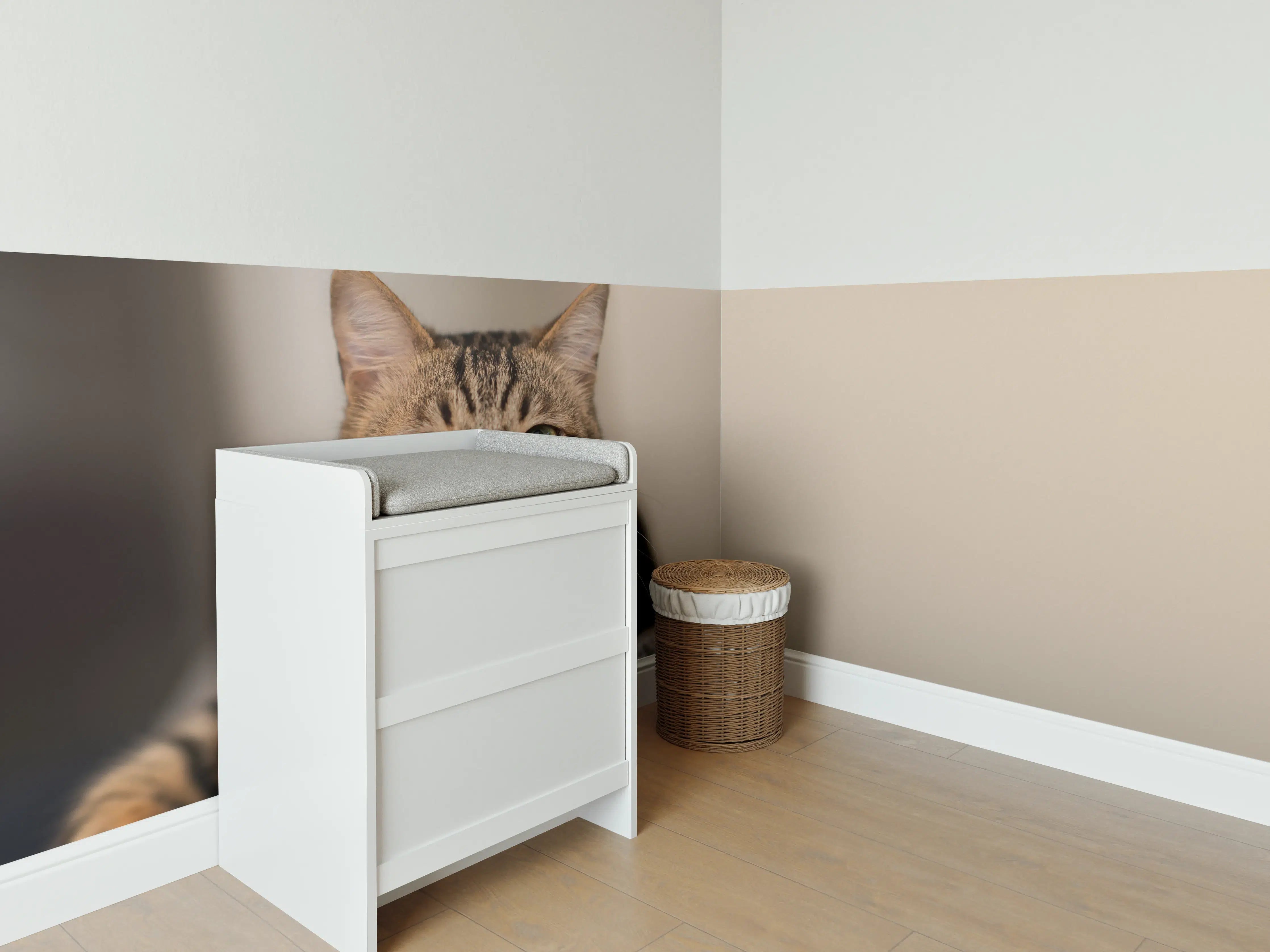 Babyzimmer Wandgestaltung - Entspannte Hauskatze in Beige-Braun