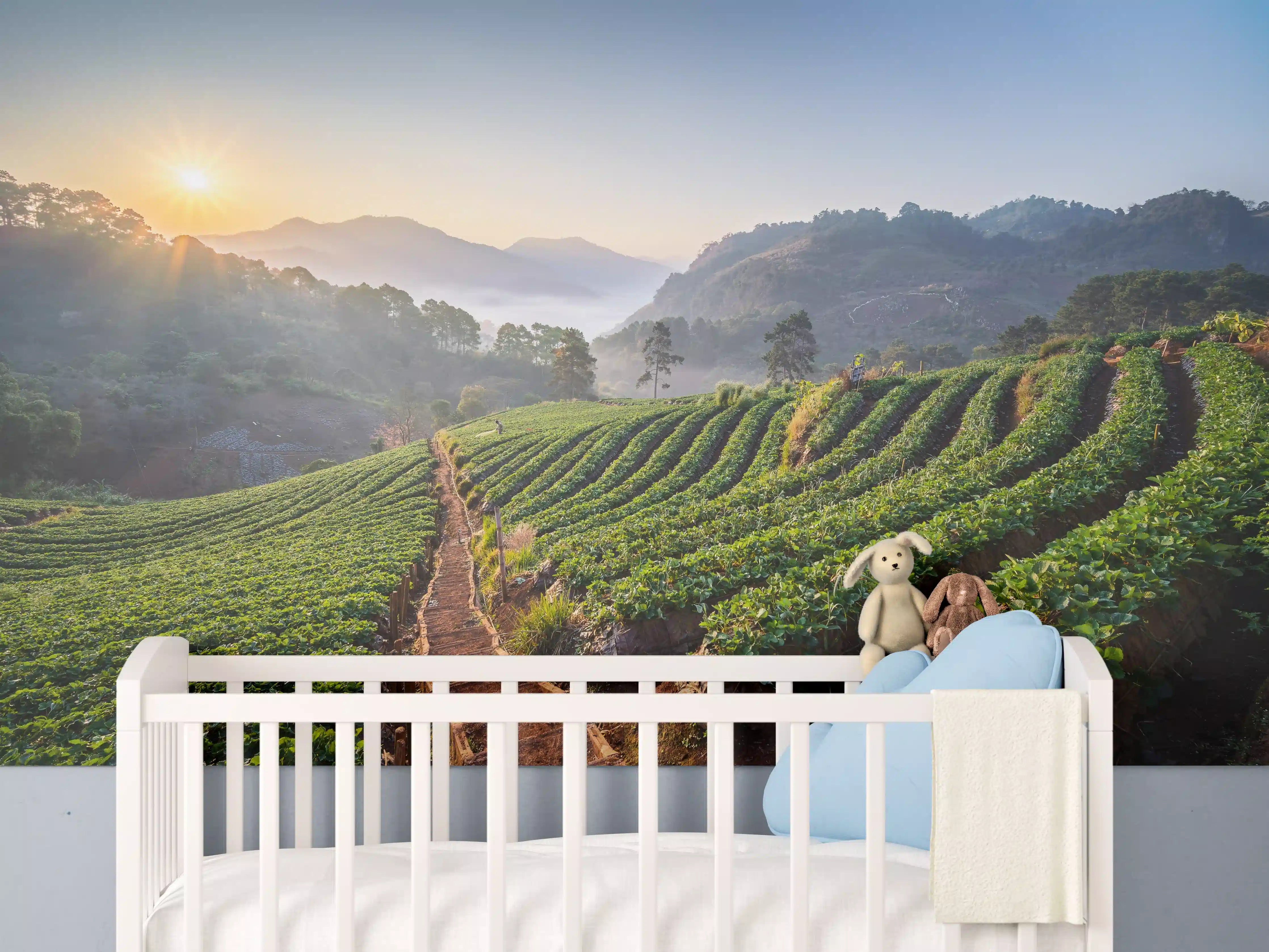 Babyzimmer Wandgestaltung - Erdbeerfeld in Chiang Mai