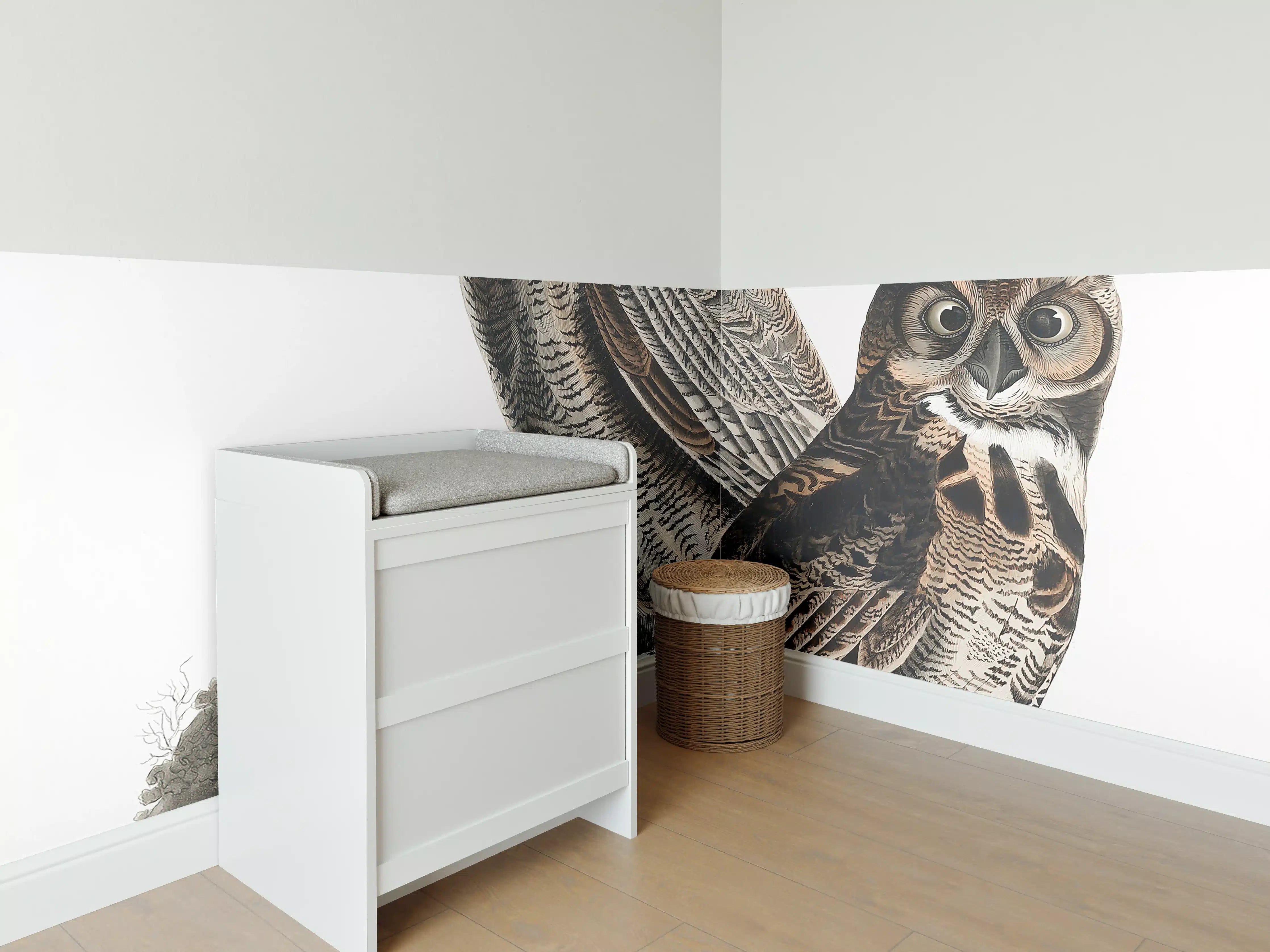 Babyzimmer Wandgestaltung - Eulen Portrait - Robert Havell