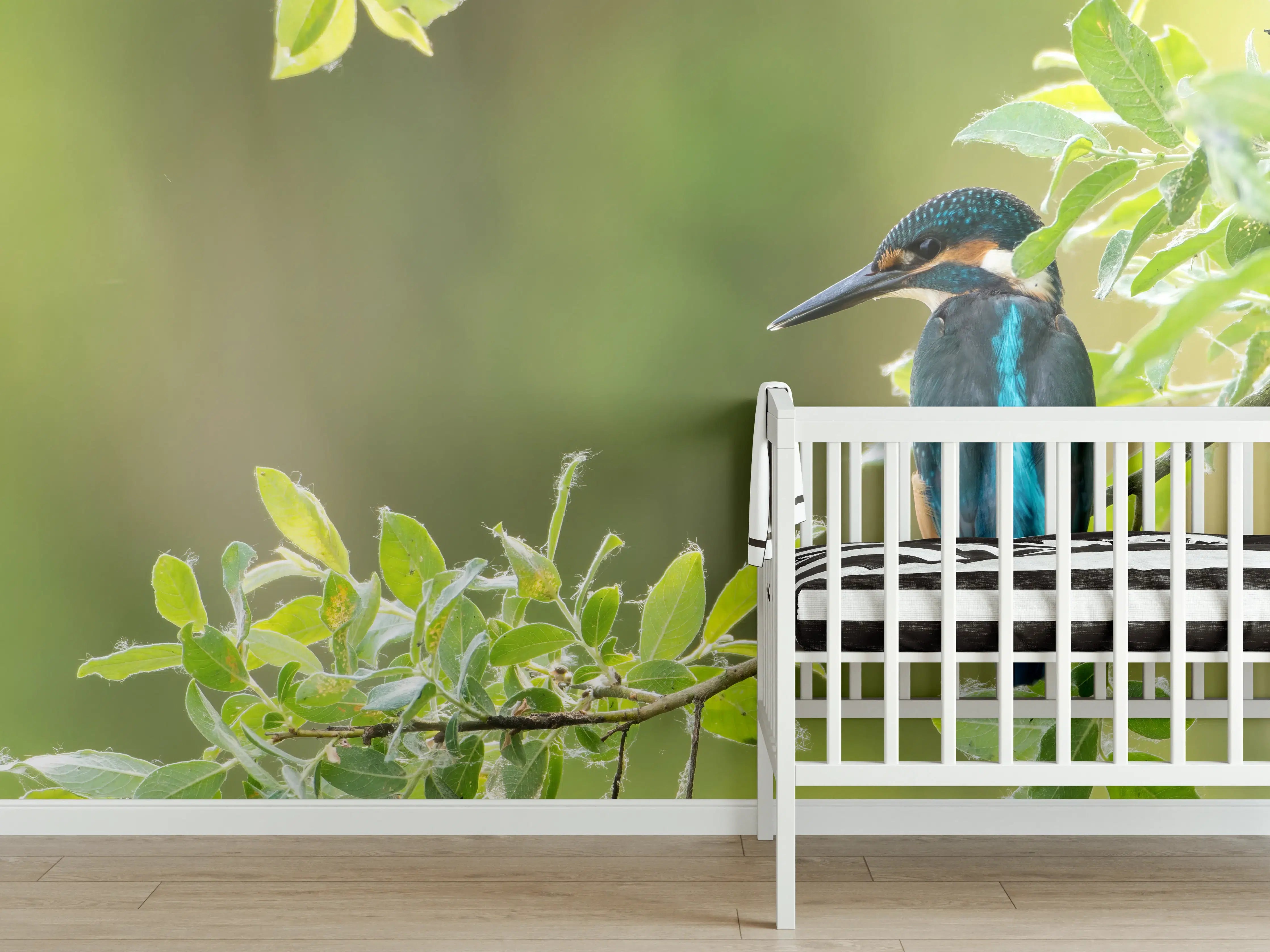 Babyzimmer Wandgestaltung - Exotischer friedlicher Eisvogel