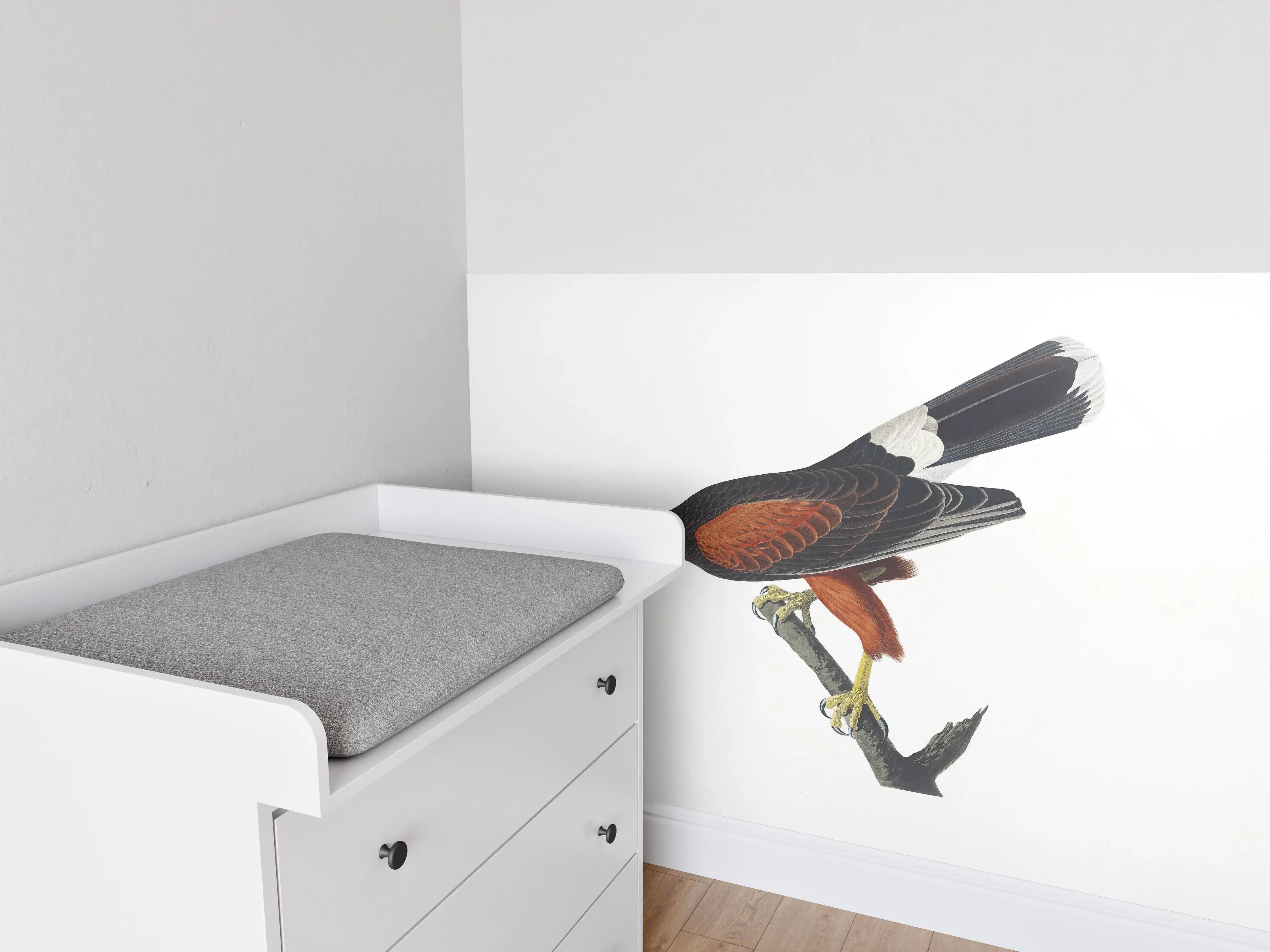 Babyzimmer Wandgestaltung - Falken Portrait - John James Audubon