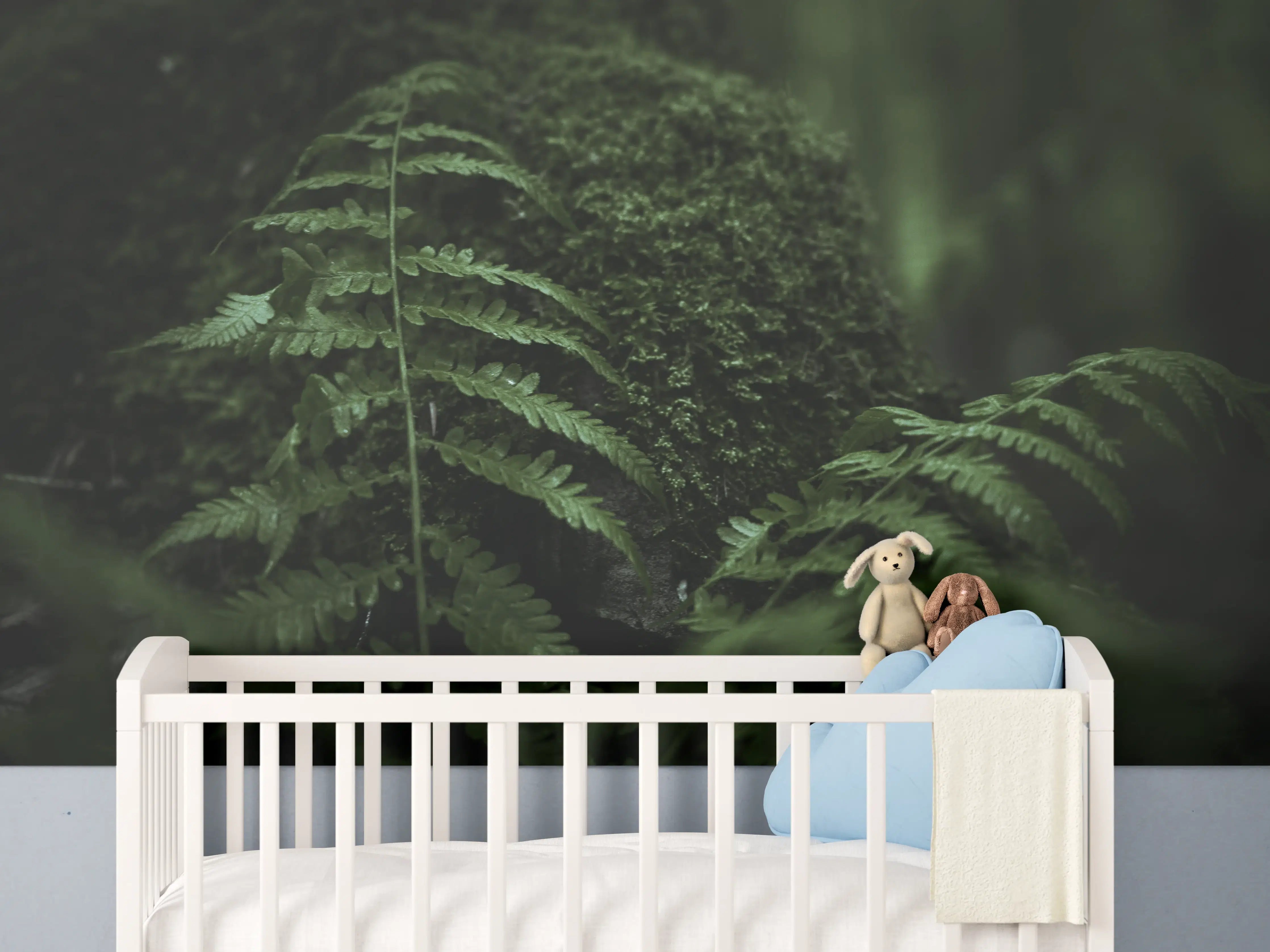 Babyzimmer Wandgestaltung - Farn im Wald des Allgäu bei Dunkelheit