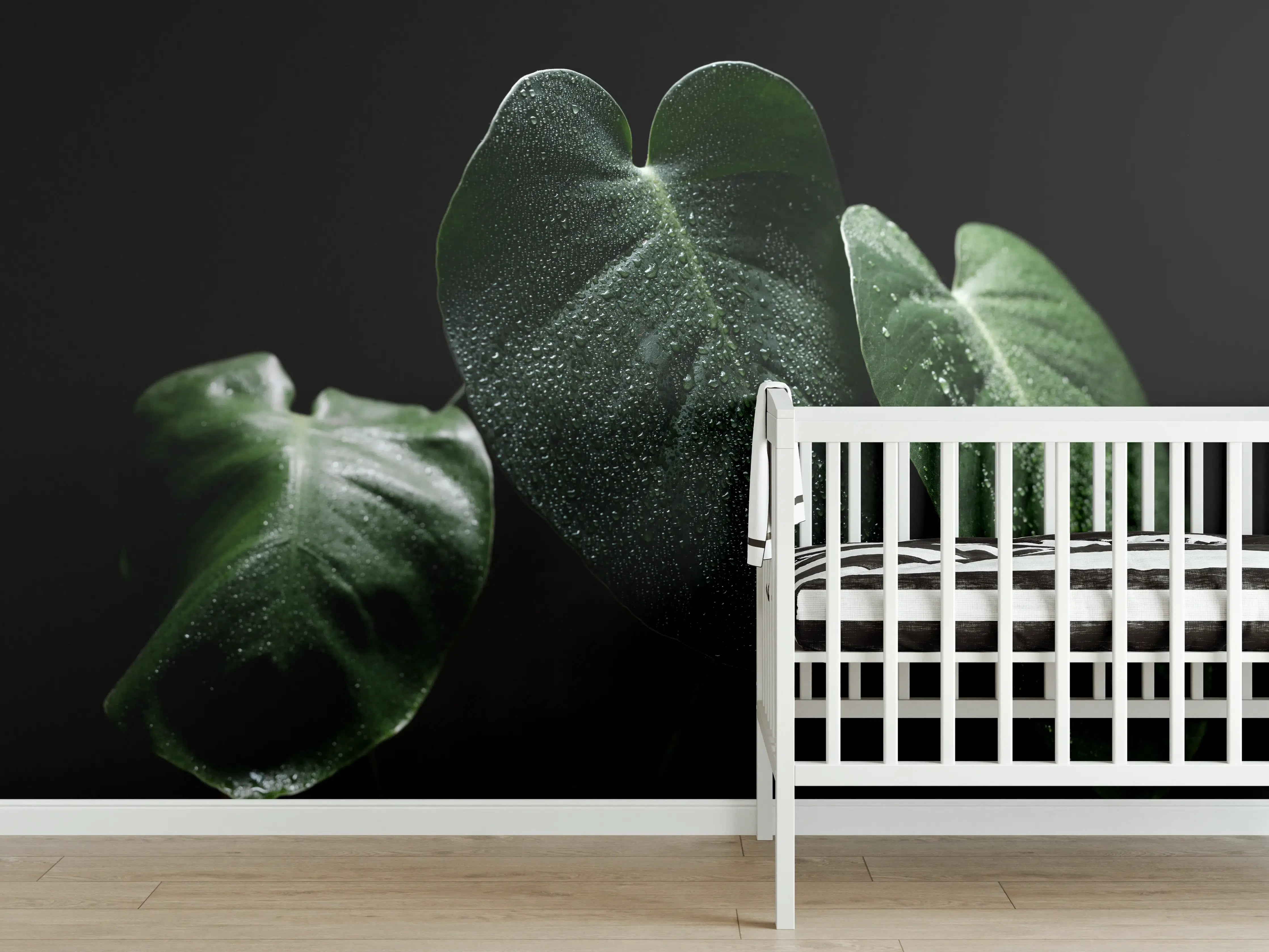 Babyzimmer Wandgestaltung - Feuchtes Blatt auf schwarzem Hintergrund