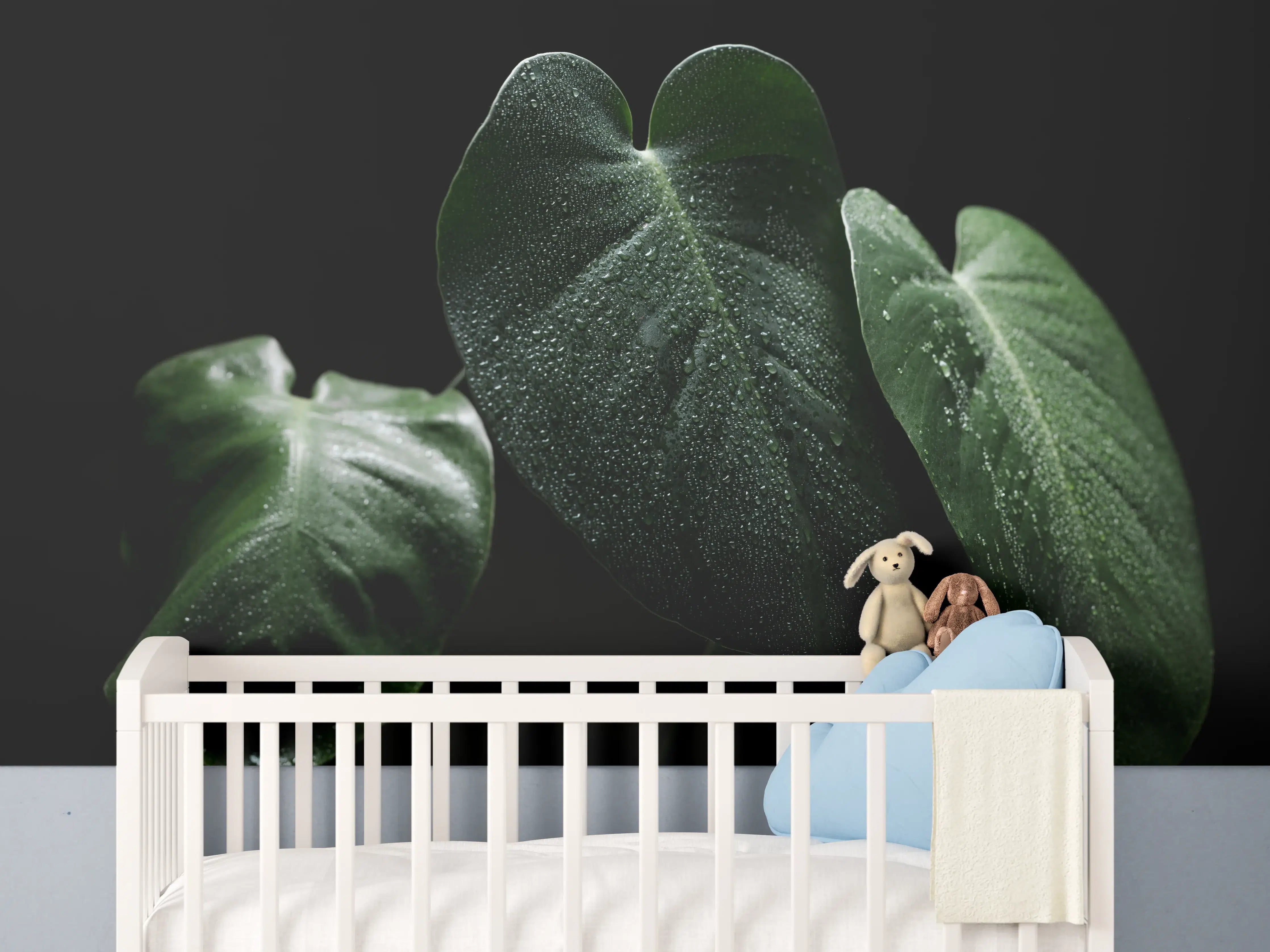 Babyzimmer Wandgestaltung - Feuchtes Blatt auf schwarzem Hintergrund