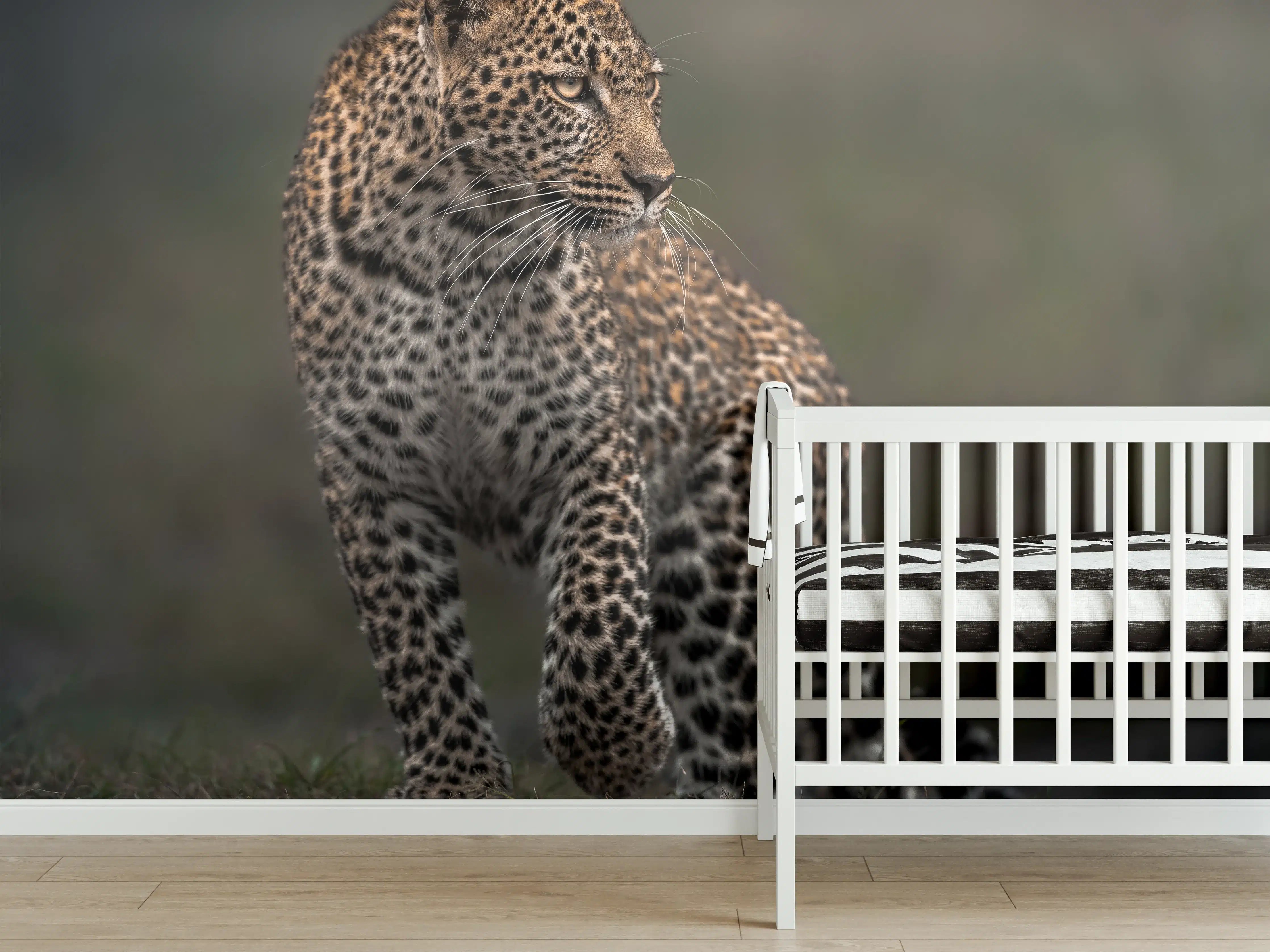 Babyzimmer Wandgestaltung - Fokussierter Leopard - Savanne