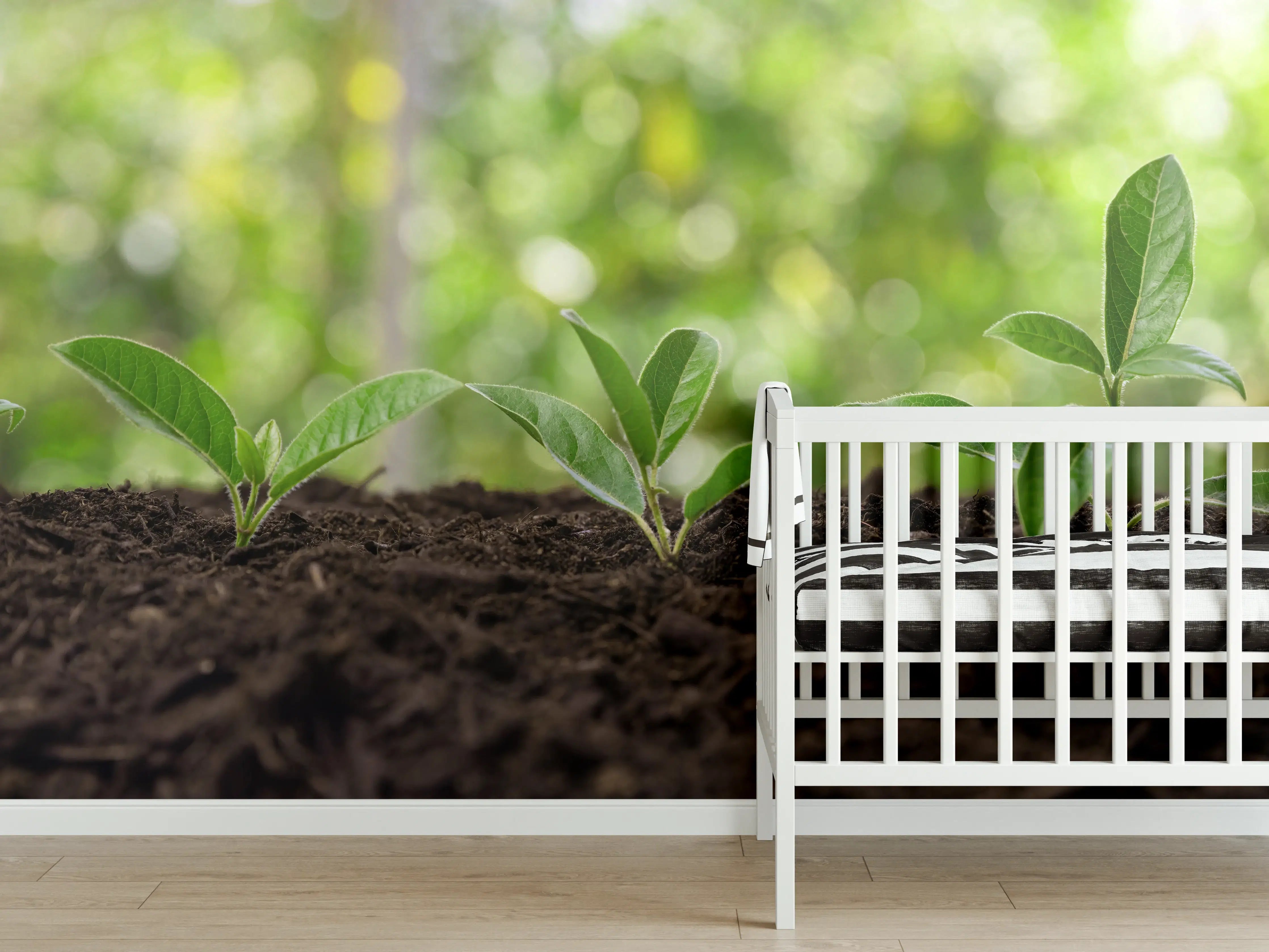 Babyzimmer Wandgestaltung - Frisch Sprießende Setzlinge