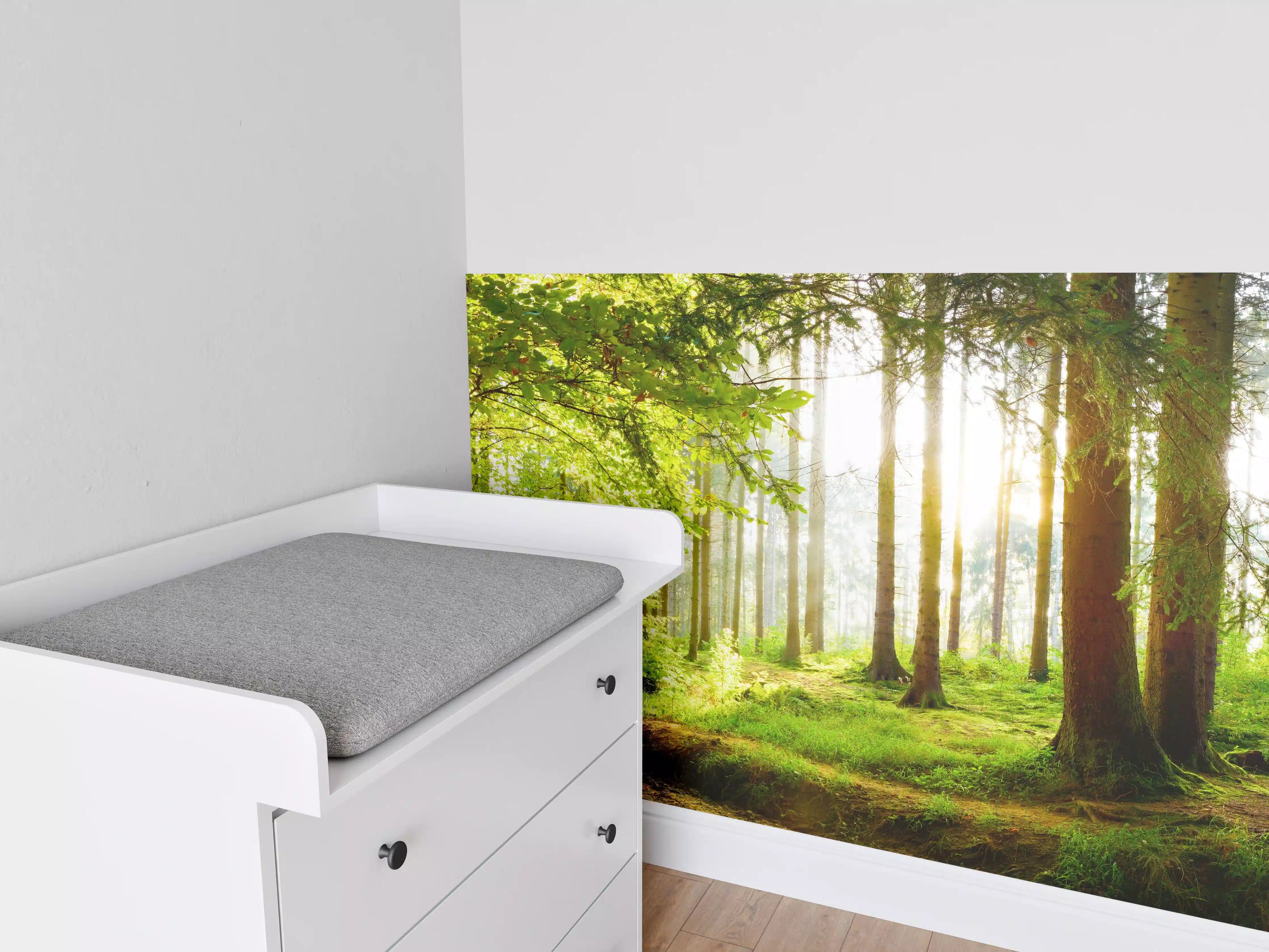 Babyzimmer Wandgestaltung - Frühlingswald mit Sonnenschein