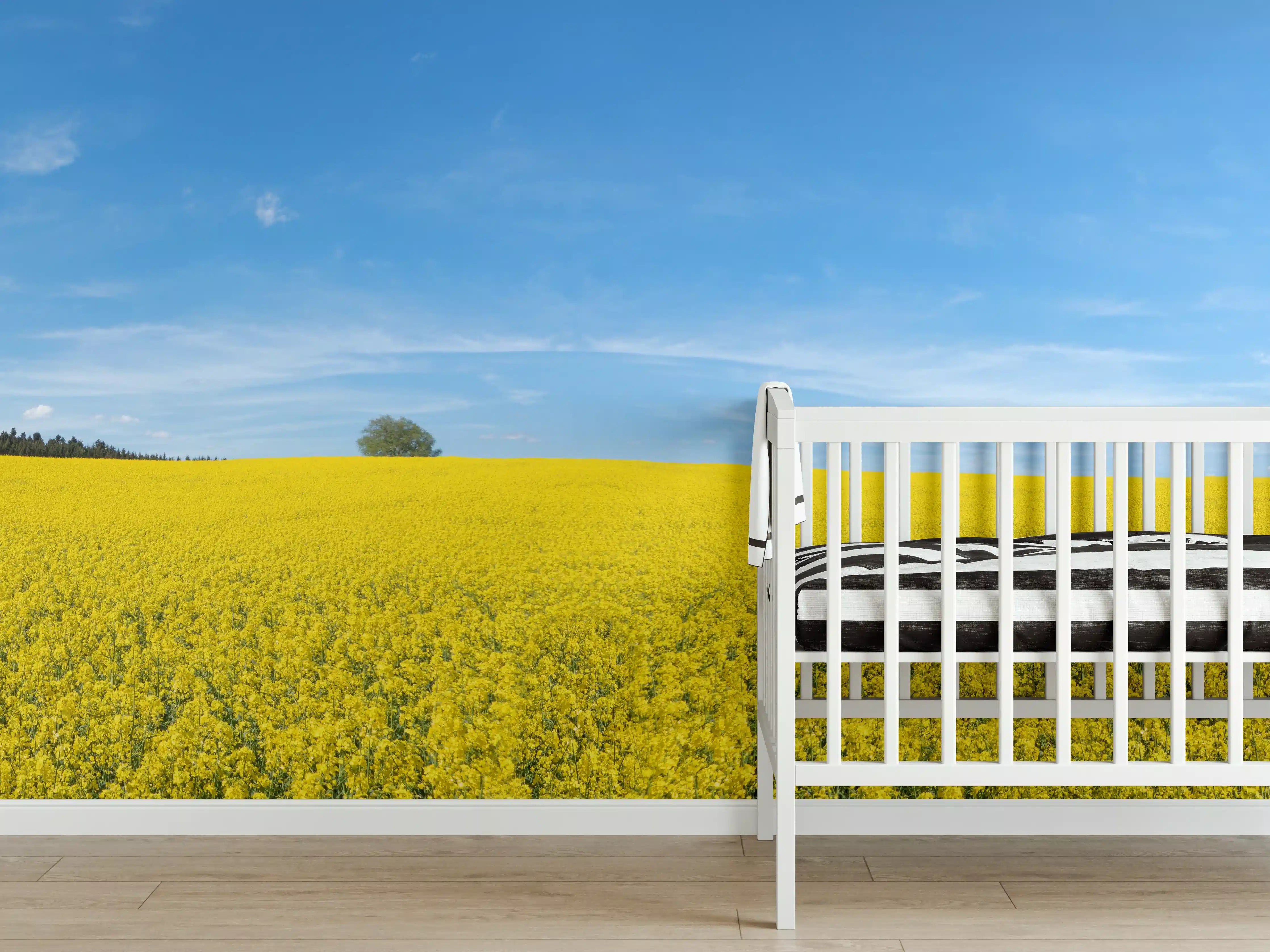 Babyzimmer Wandgestaltung - Gelbes Rapsfeld blauer Himmel