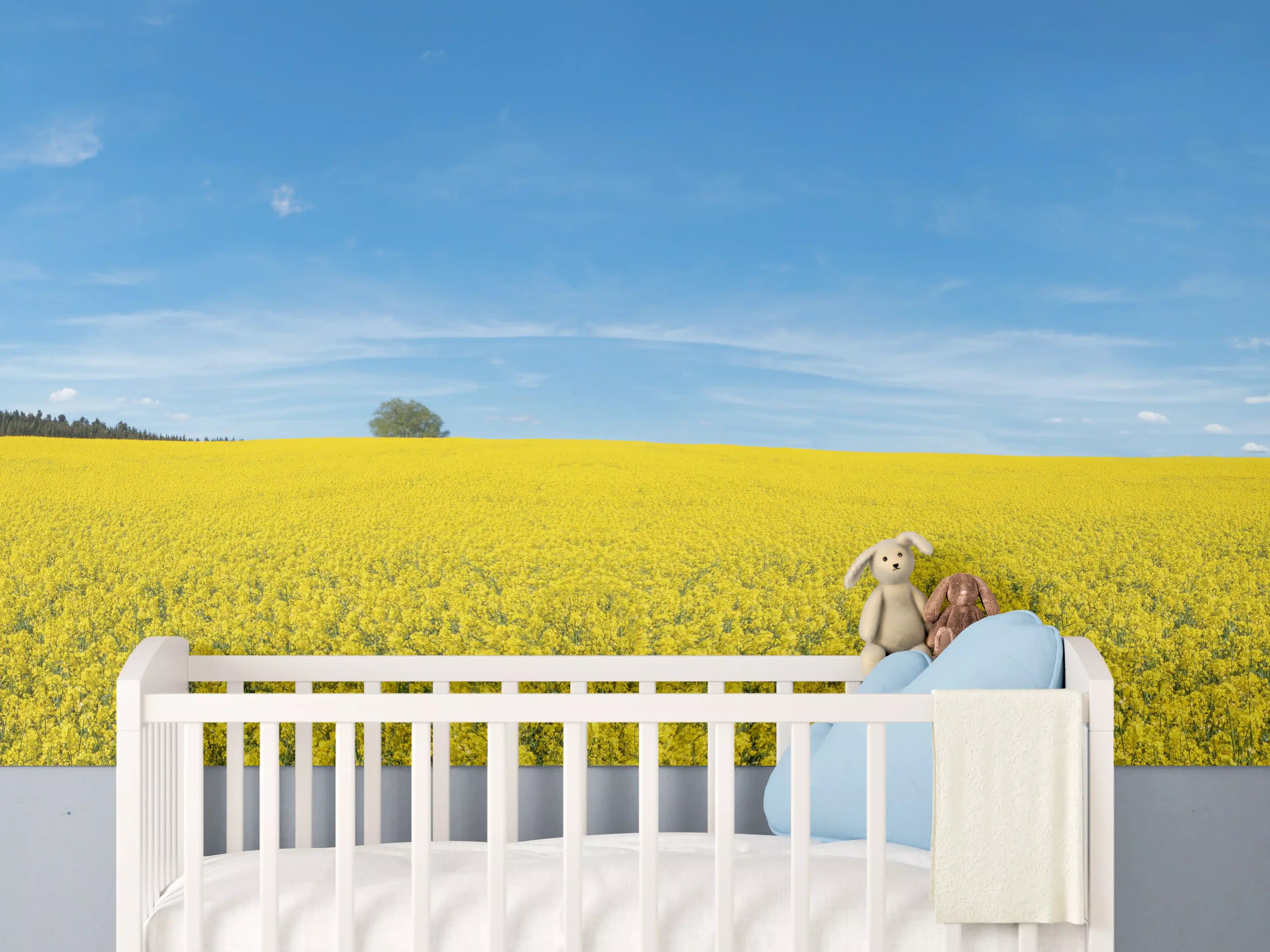 Babyzimmer Wandgestaltung - Gelbes Rapsfeld blauer Himmel