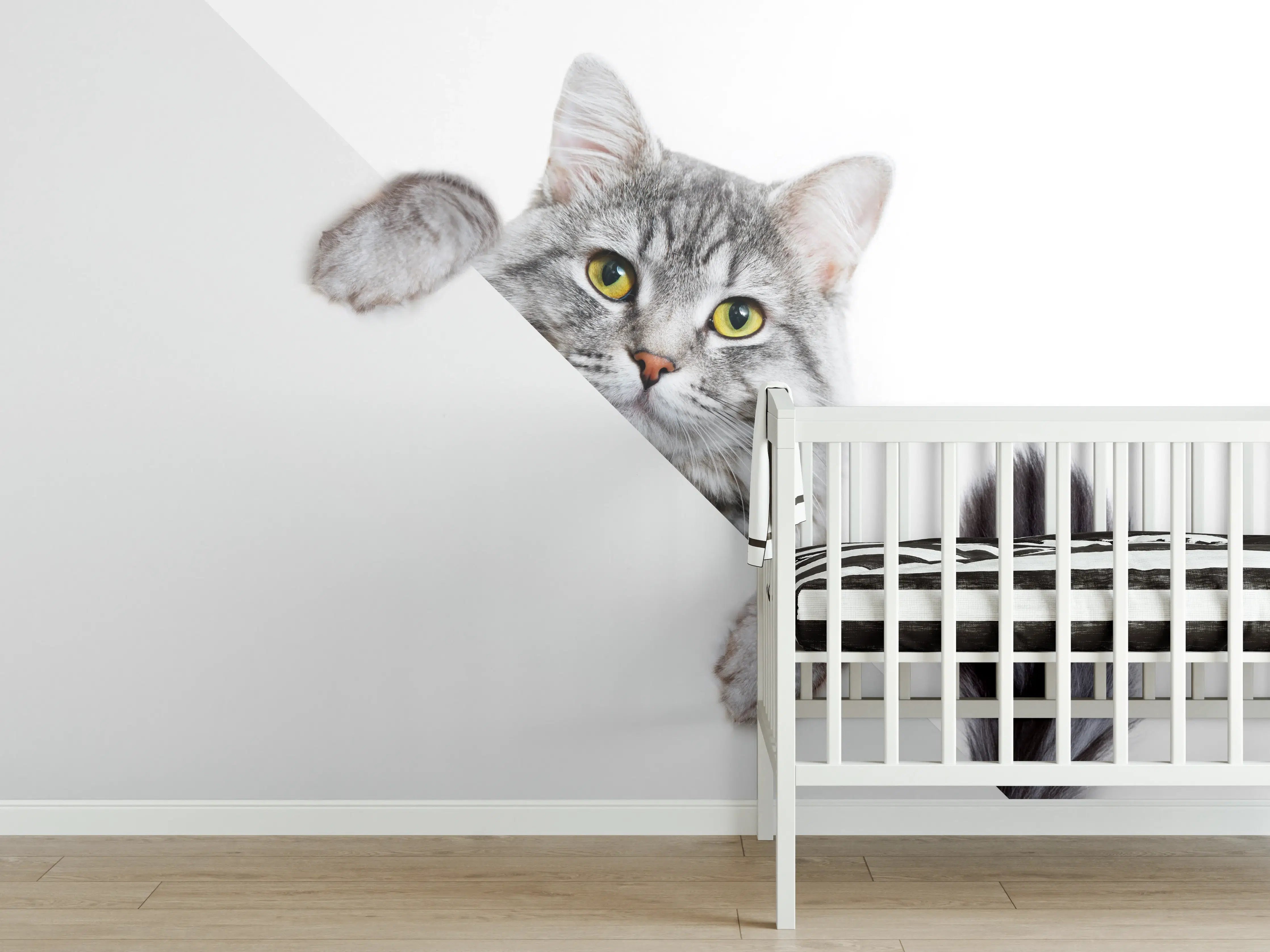 Babyzimmer Wandgestaltung - Getigertes Kätzchen
