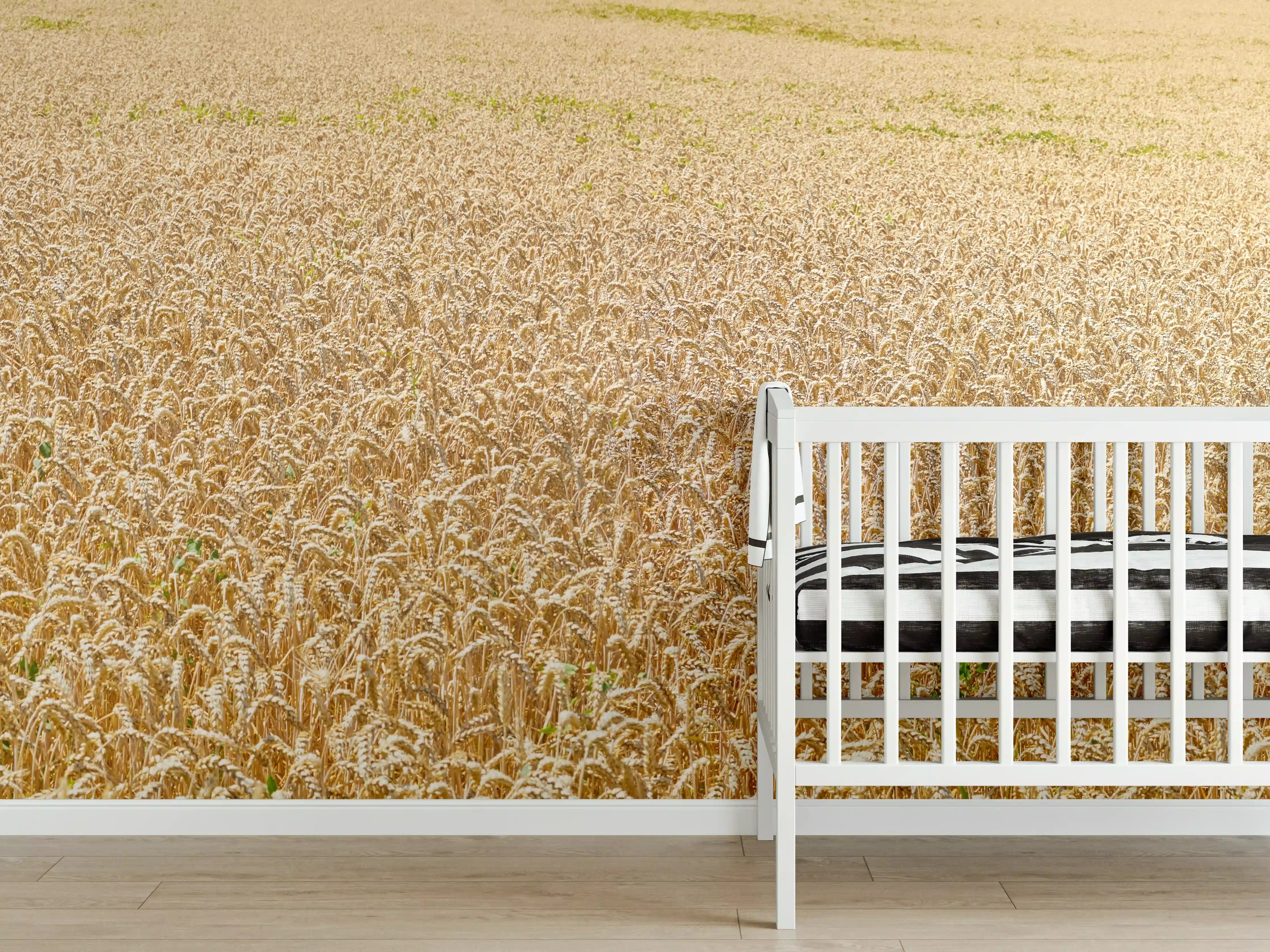 Babyzimmer Wandgestaltung - Getreidefeld - Panoramabild