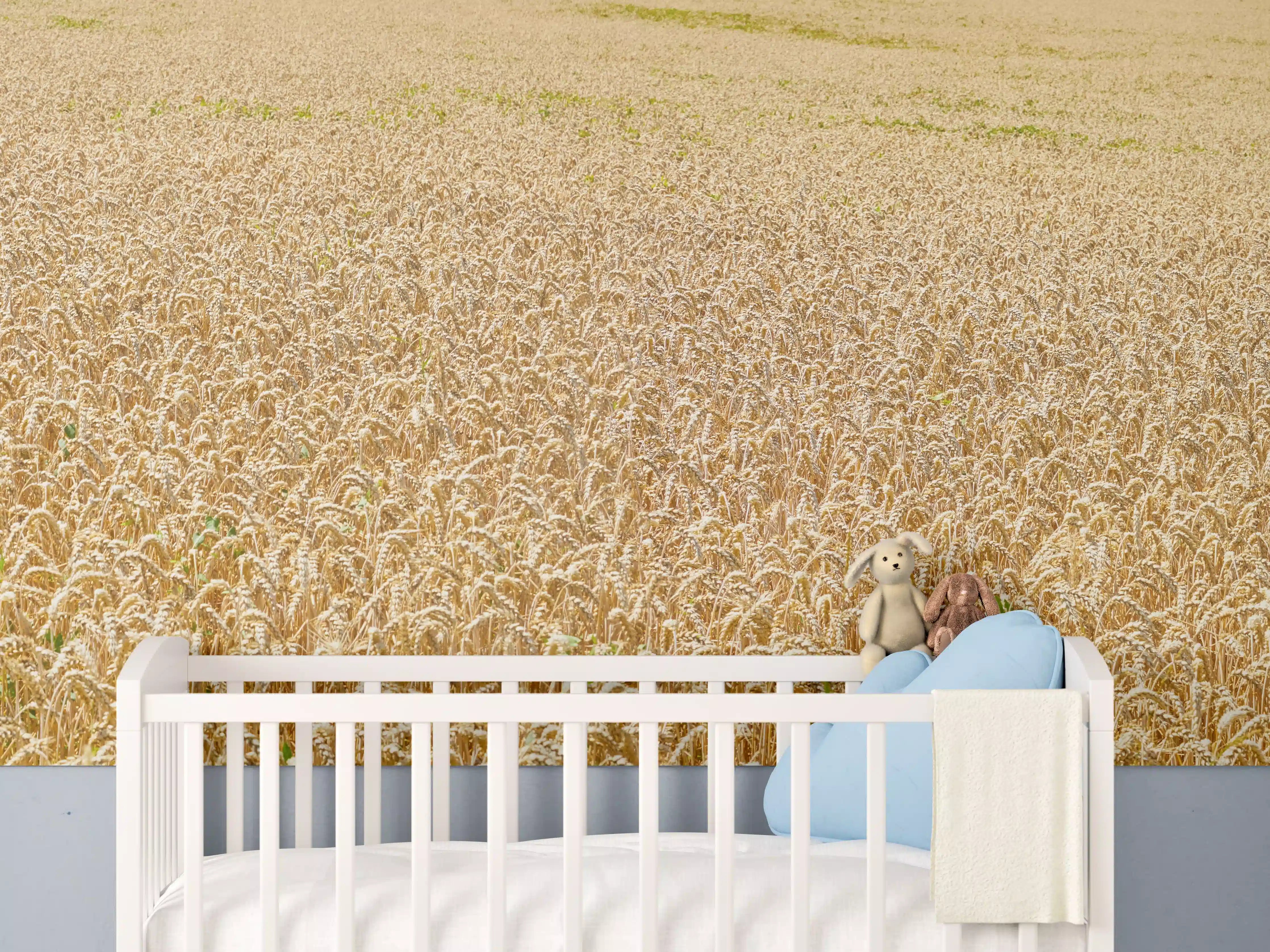 Babyzimmer Wandgestaltung - Getreidefeld - Panoramabild