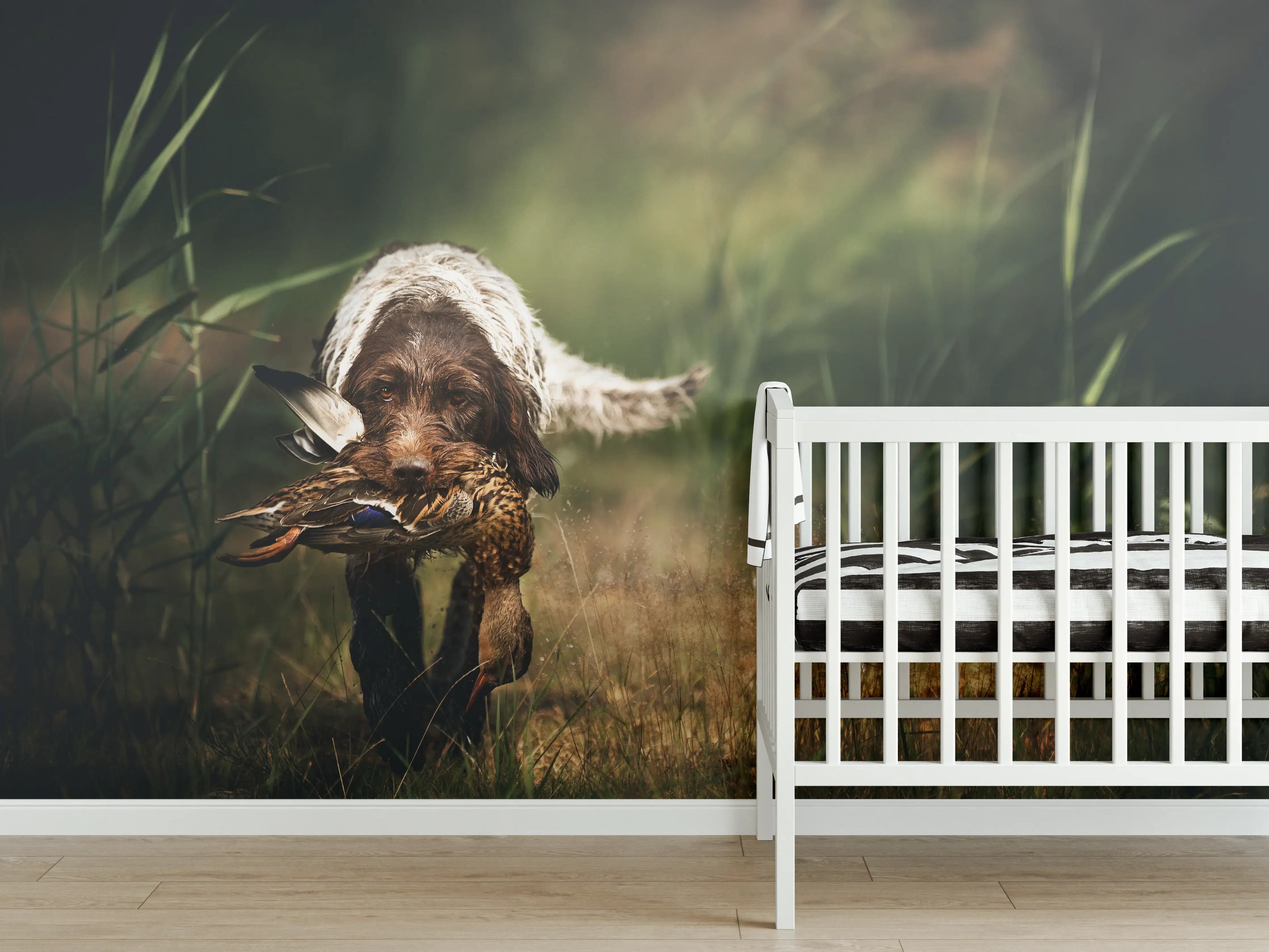 Babyzimmer Wandgestaltung - Griffon Korthals beim Apportieren einer Ente