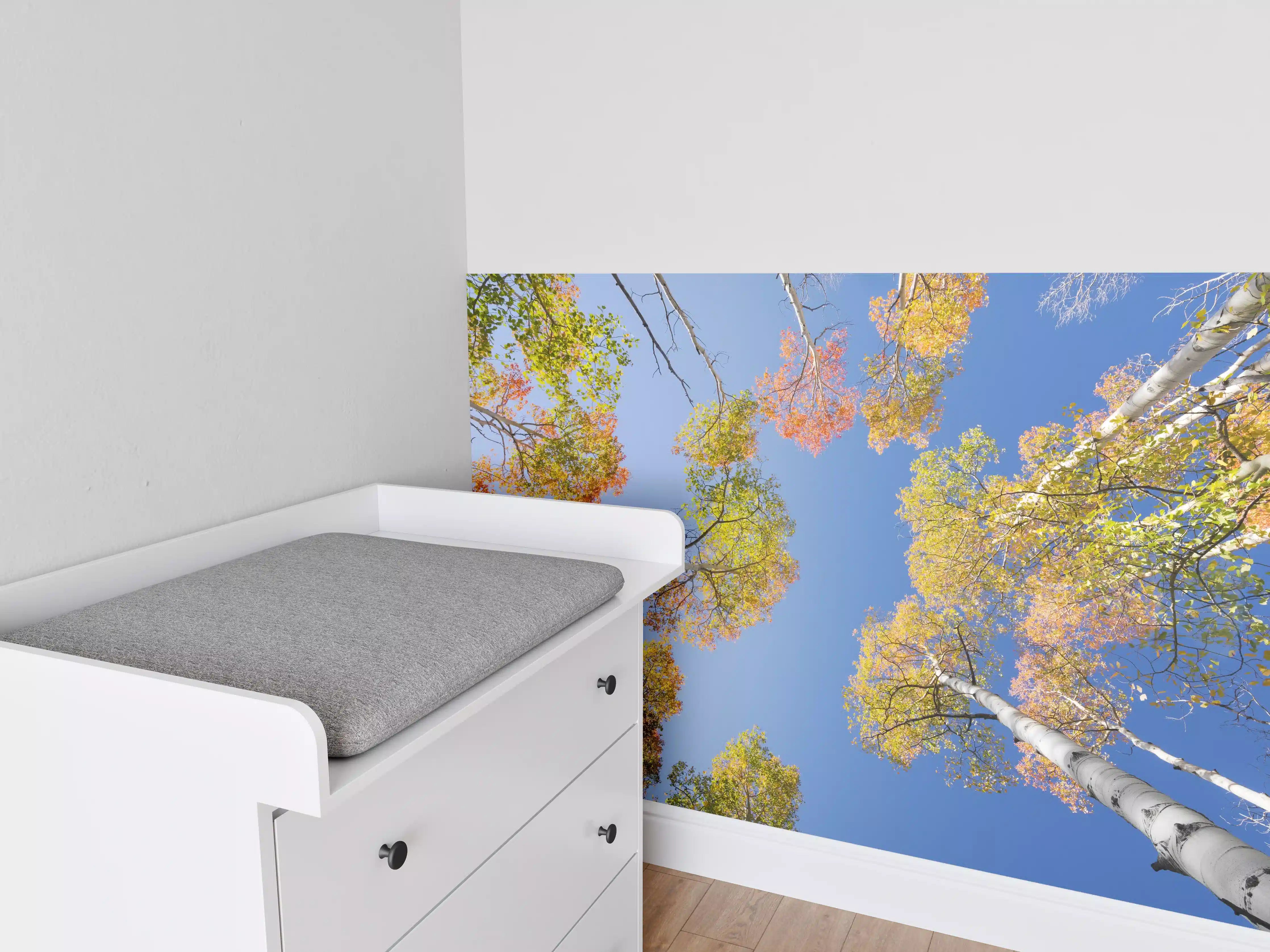 Babyzimmer Wandgestaltung - Herbstliche Birken