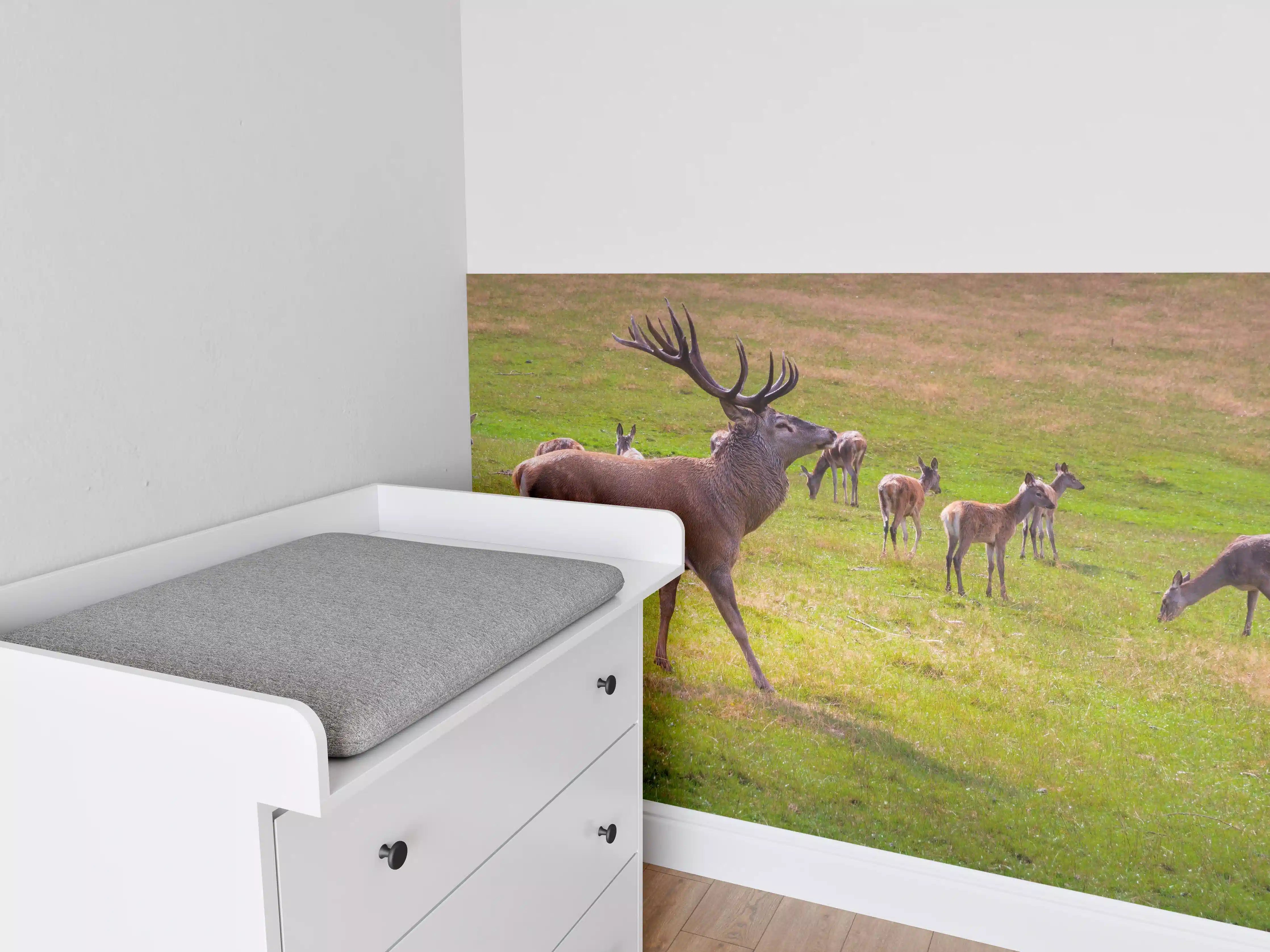 Babyzimmer Wandgestaltung - Hirschrudel auf grüner Wiese