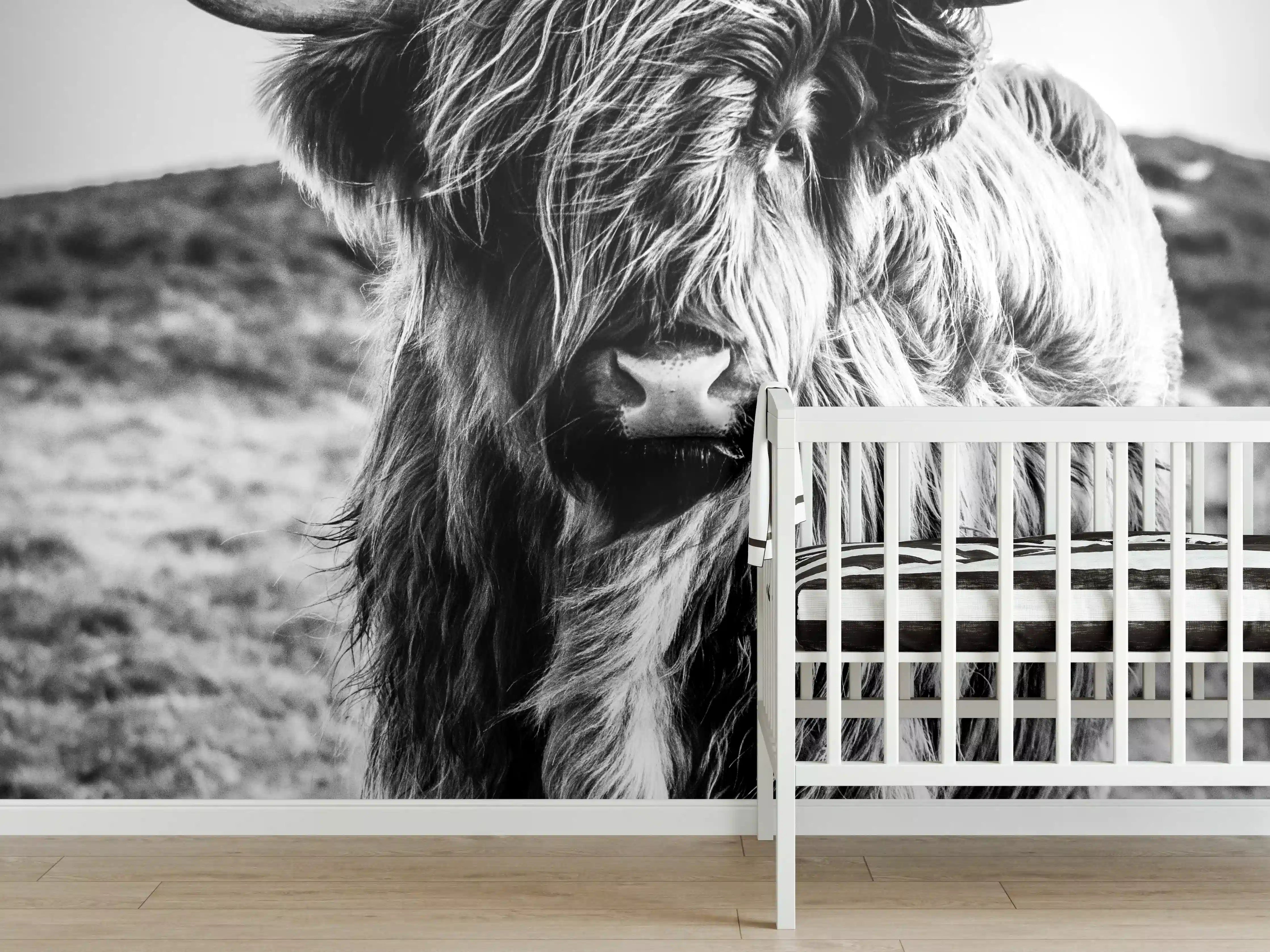Babyzimmer Wandgestaltung - Hochlandkuh in Schwarz-weiß
