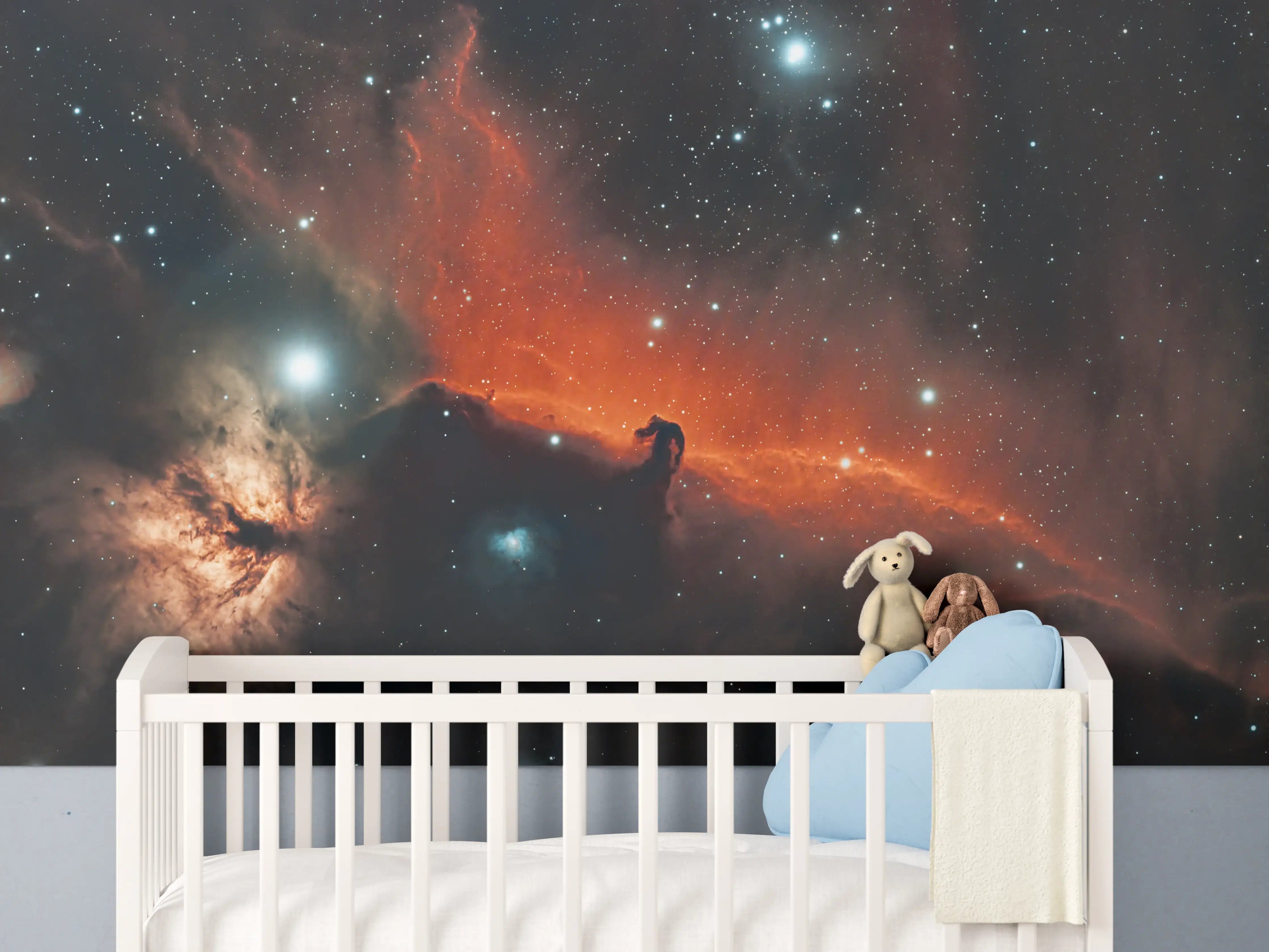 Babyzimmer Wandgestaltung - Horsehead amd Flame Nebula