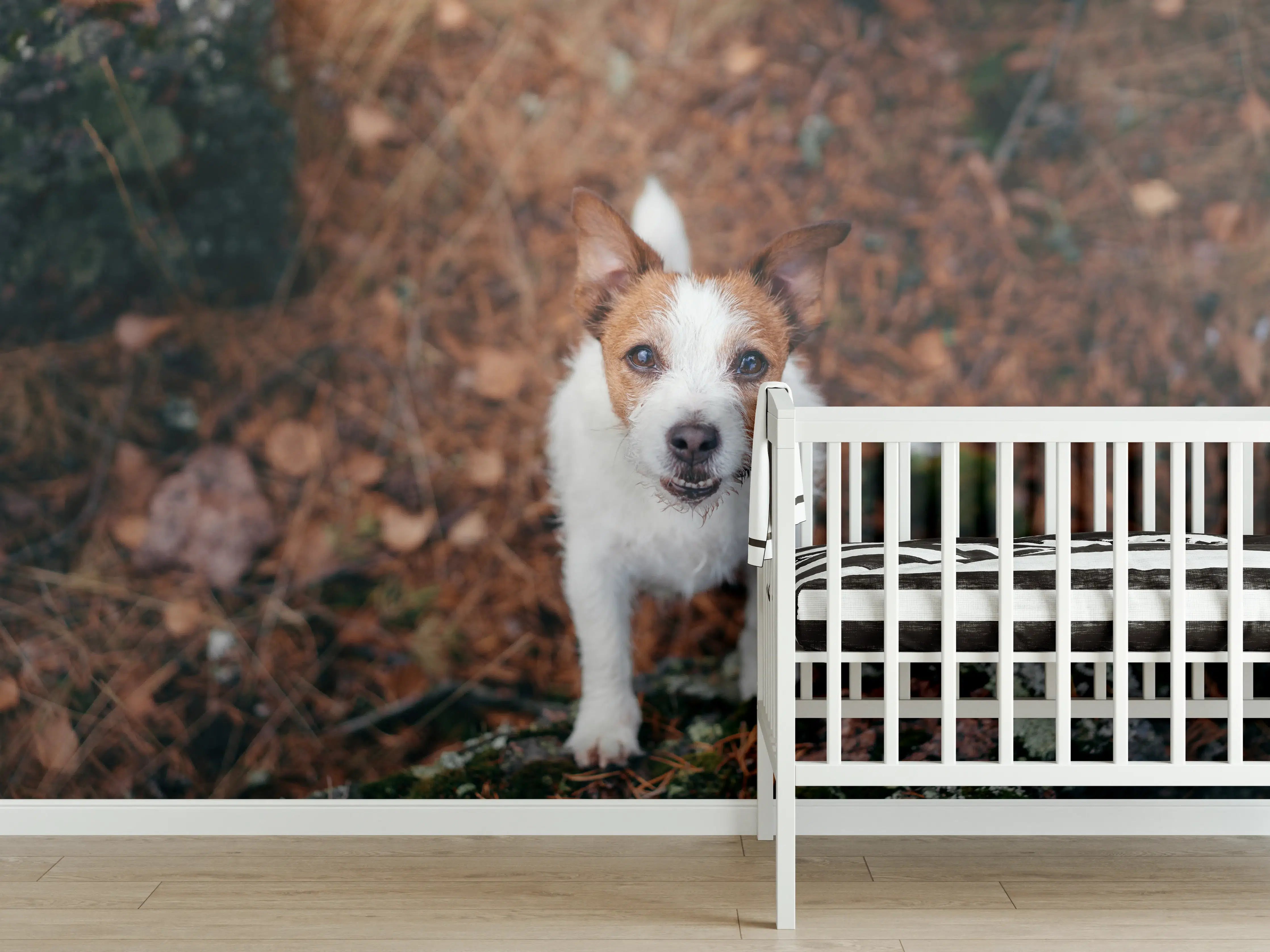Babyzimmer Wandgestaltung - Jack Russell im herbstlichen Park