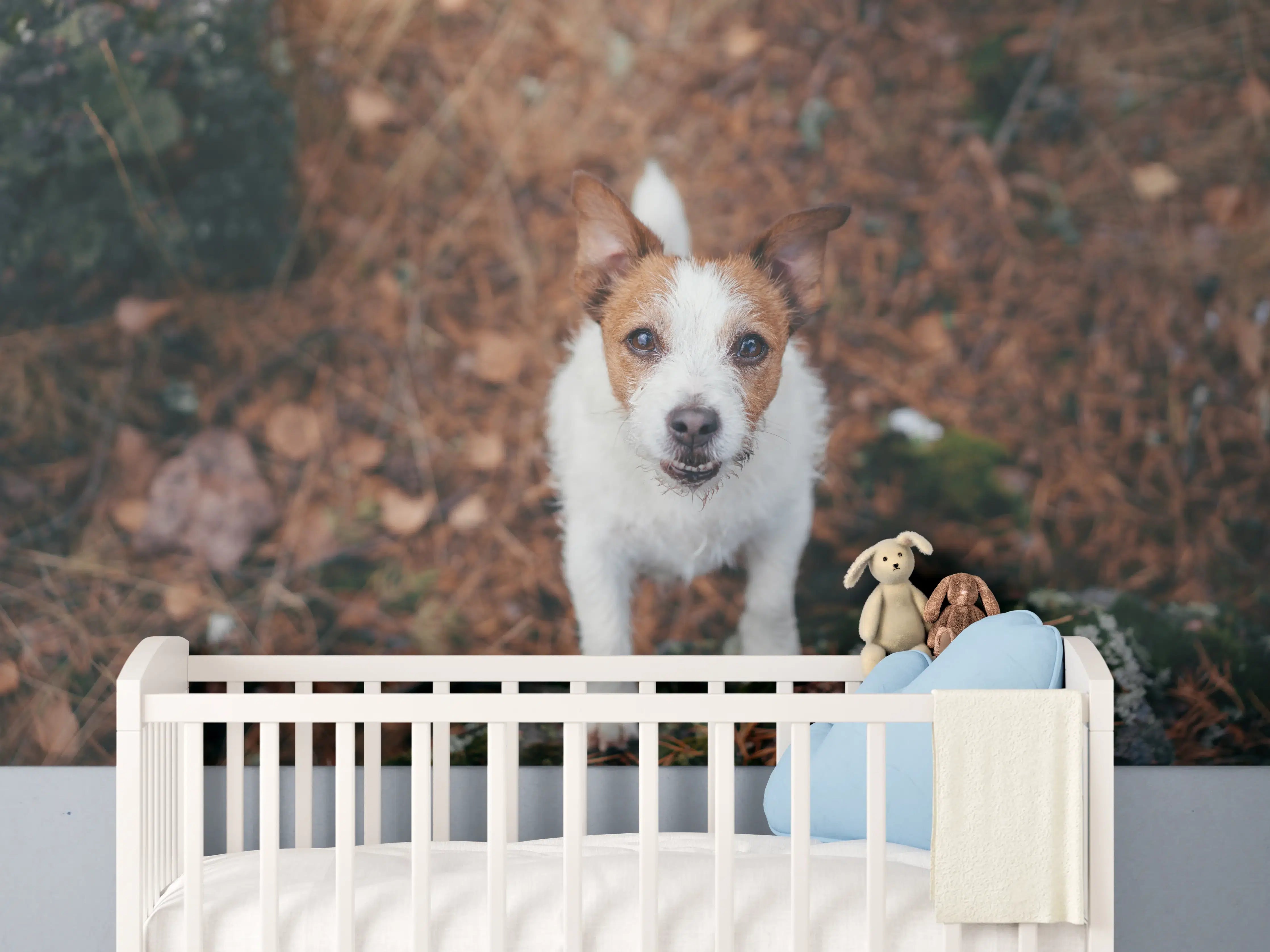 Babyzimmer Wandgestaltung - Jack Russell im herbstlichen Park