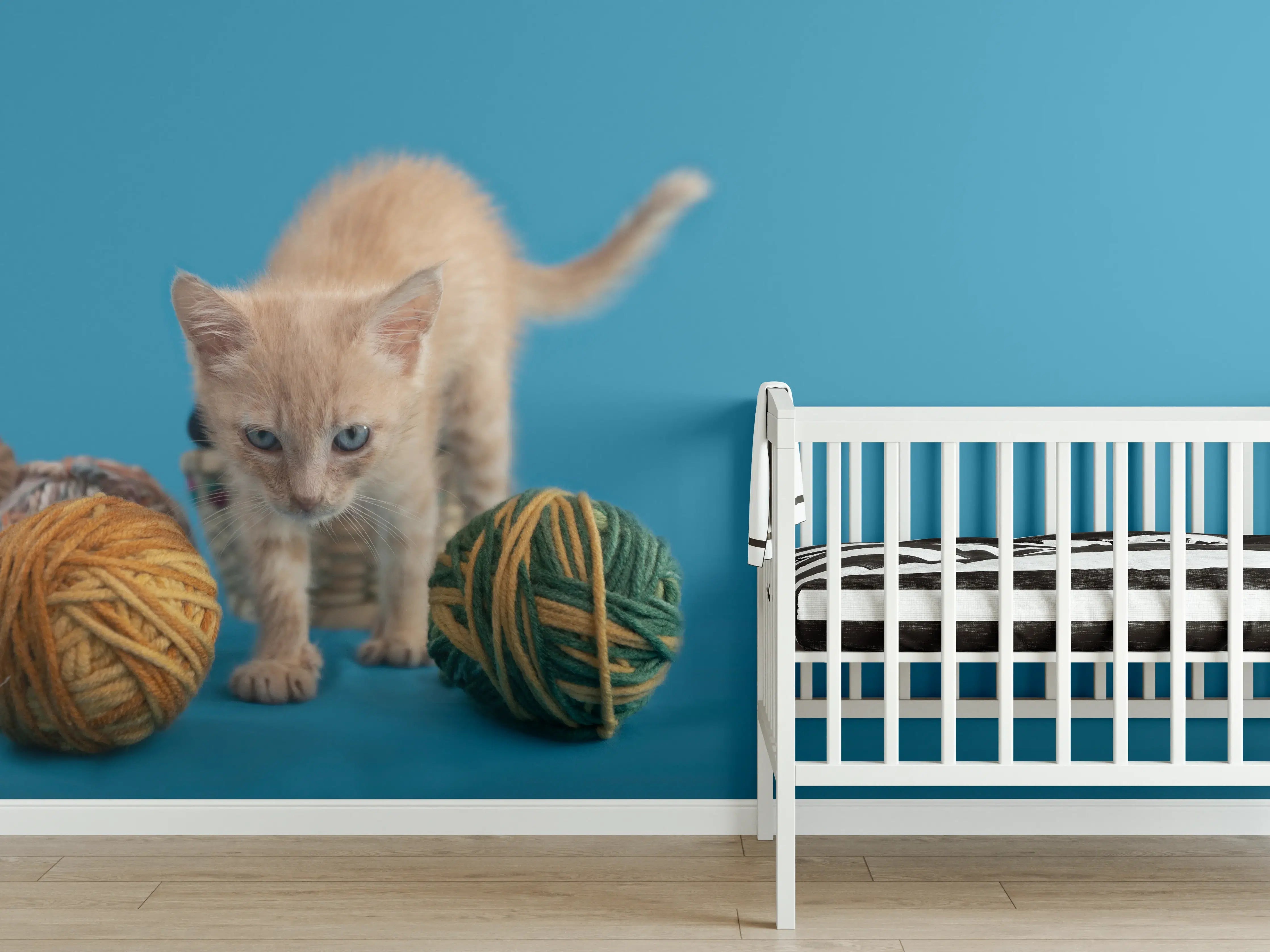 Babyzimmer Wandgestaltung - Katzenbaby spielt mit Wollknollen