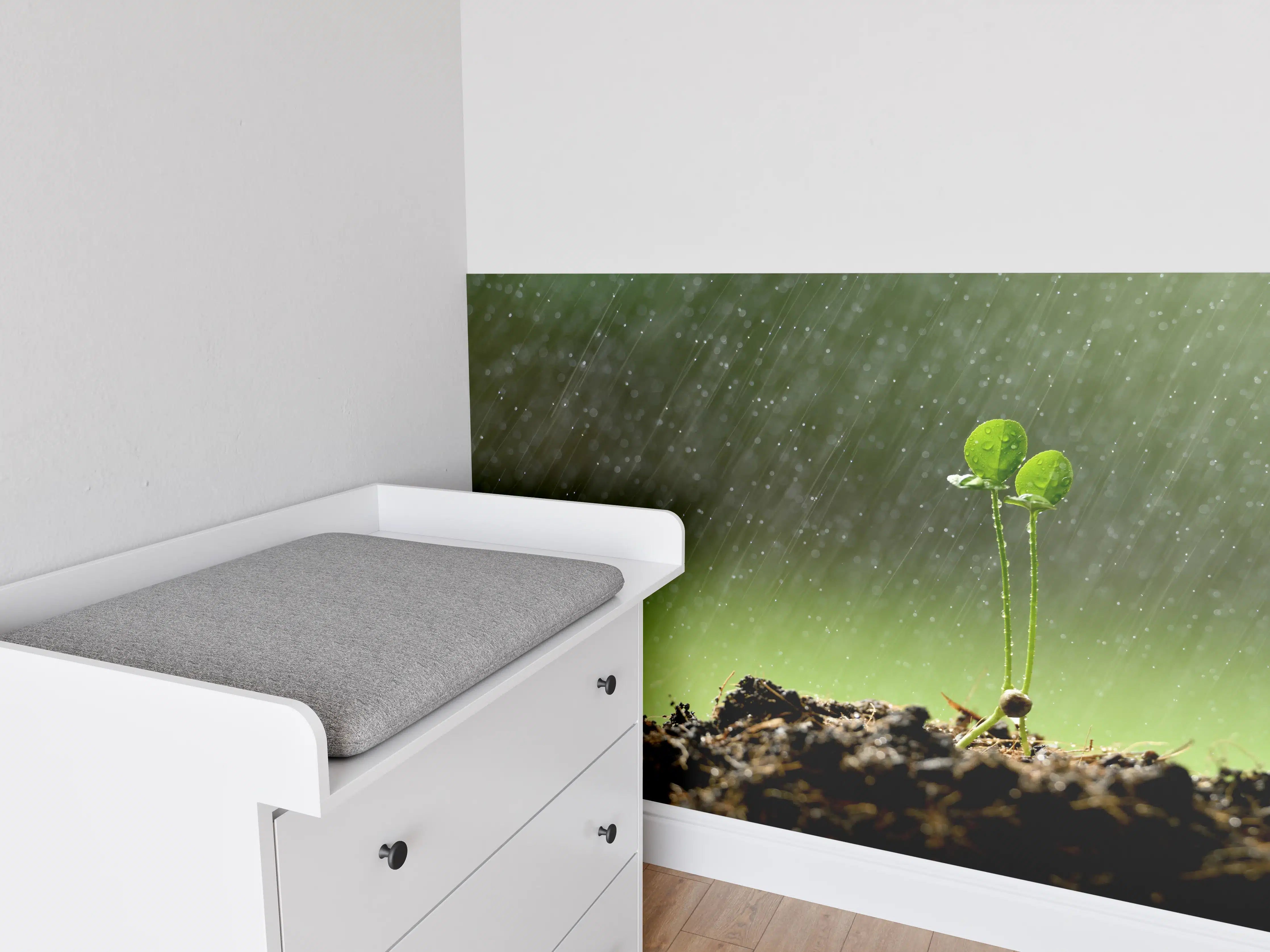 Babyzimmer Wandgestaltung - Keimende Pflanze bei Regen