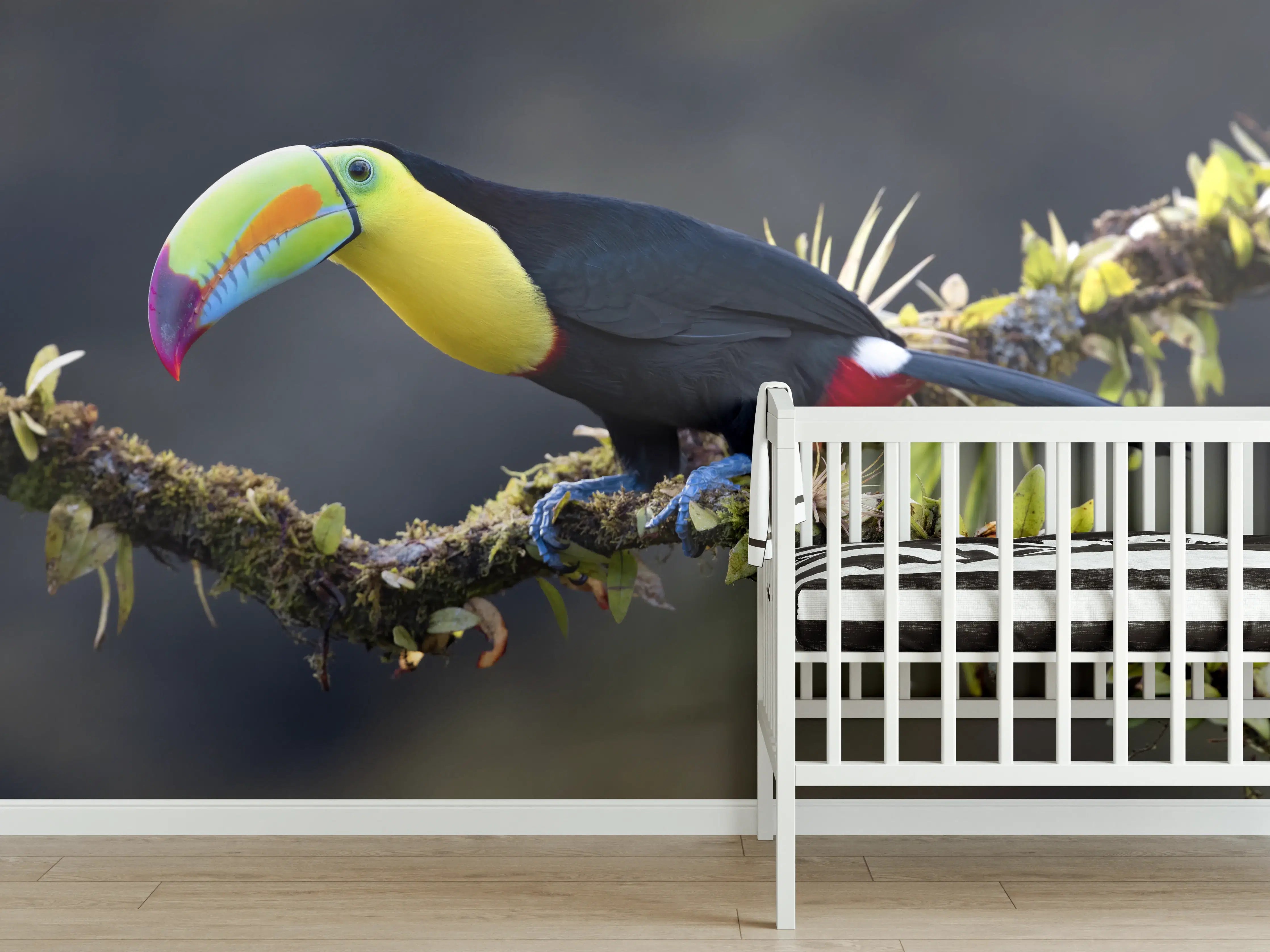 Babyzimmer Wandgestaltung - Kielschnabeltukan auf Ast
