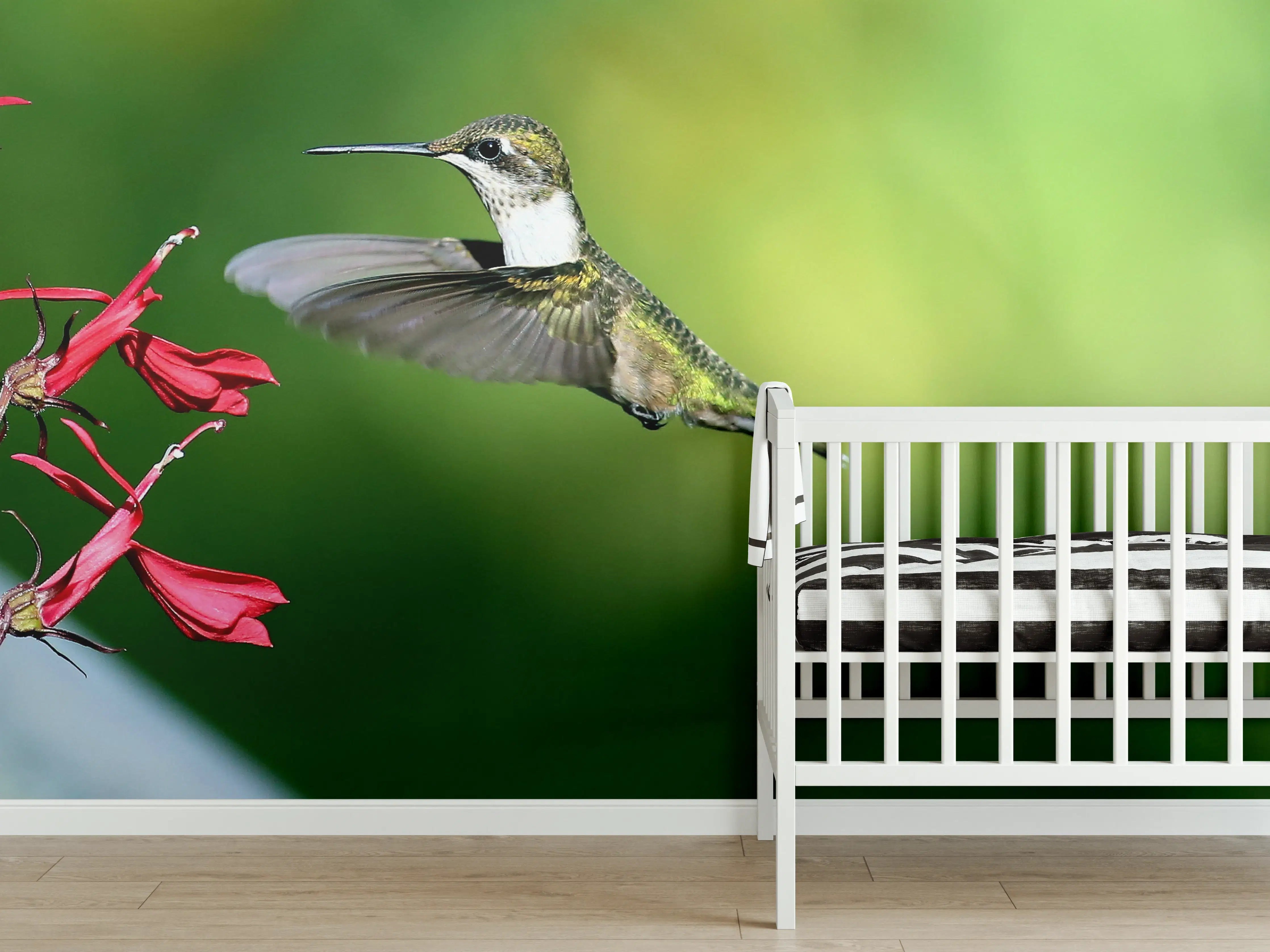Babyzimmer Wandgestaltung - Kolibri-Weibchen im Flug