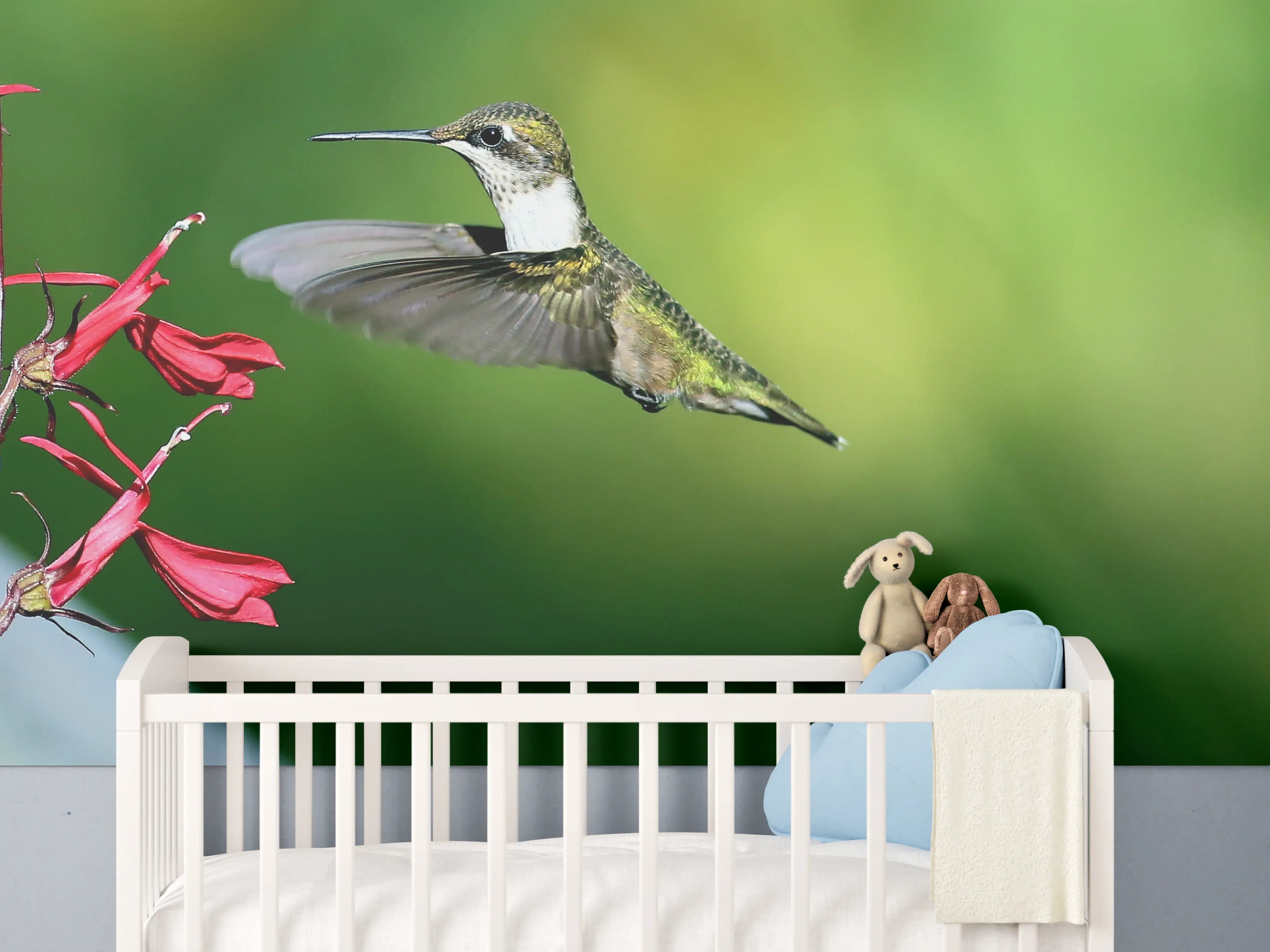 Babyzimmer Wandgestaltung - Kolibri-Weibchen im Flug