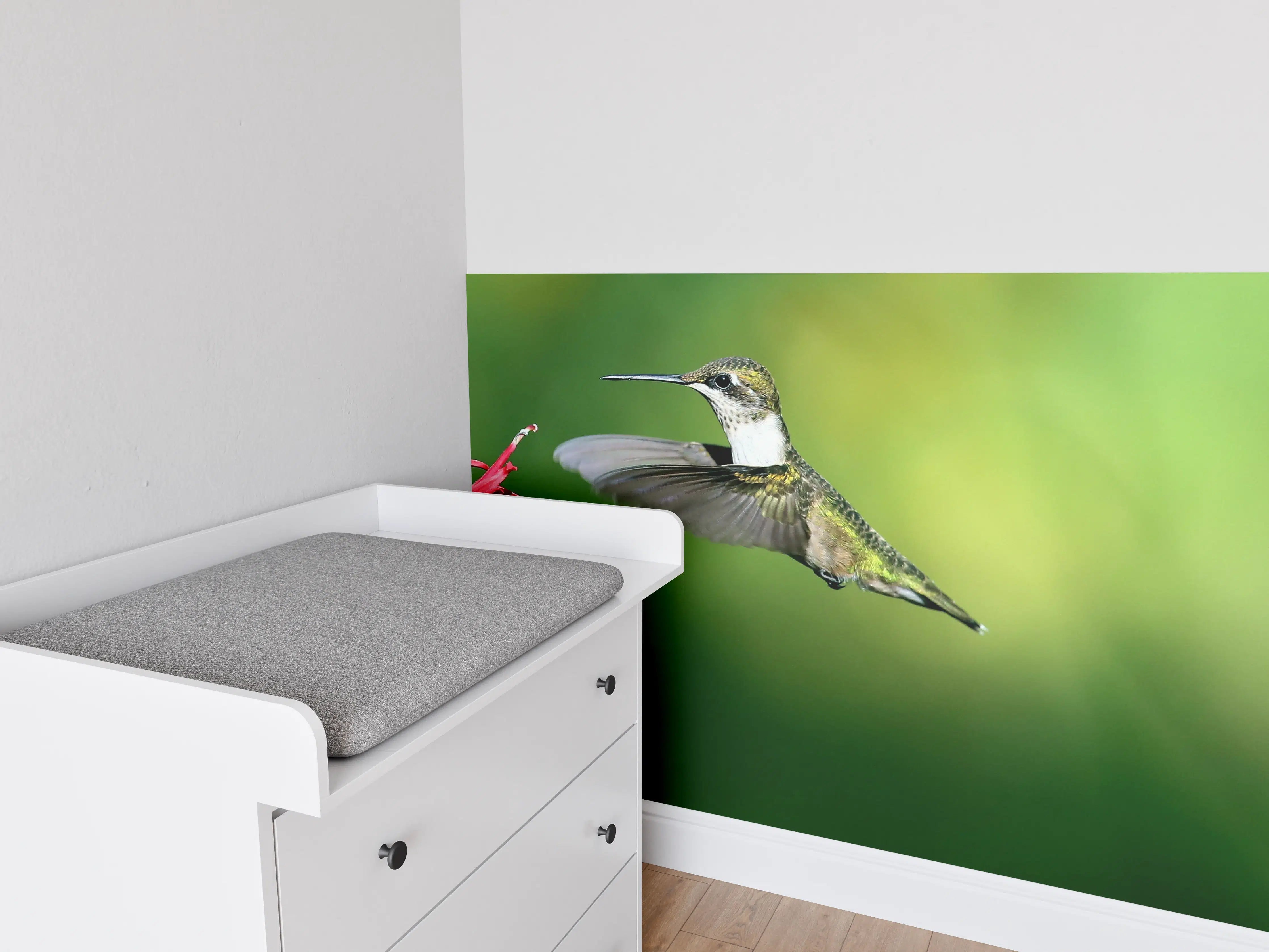 Babyzimmer Wandgestaltung - Kolibri-Weibchen im Flug