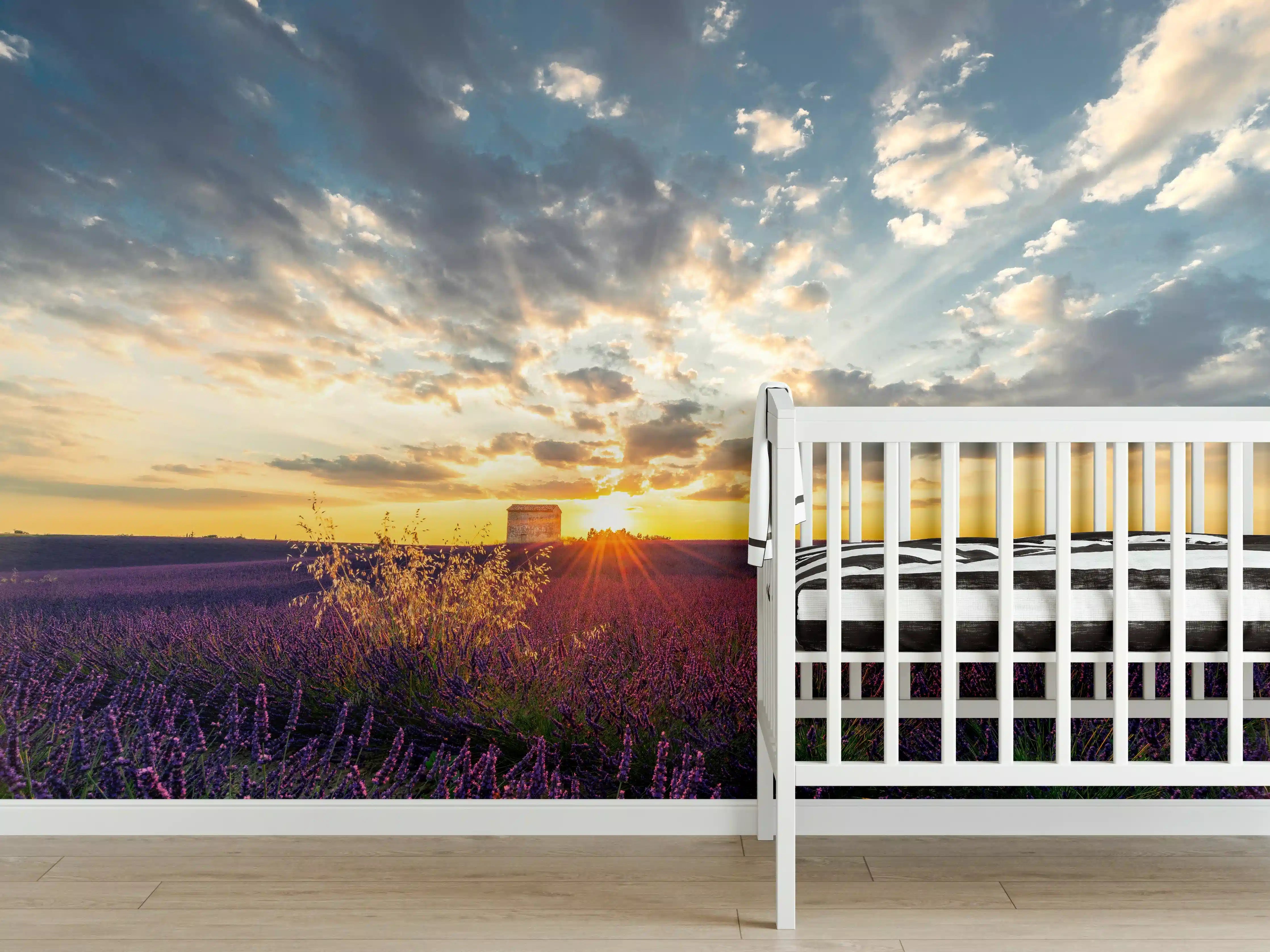 Babyzimmer Wandgestaltung - Lavendel Feld im Sommer in der Provence