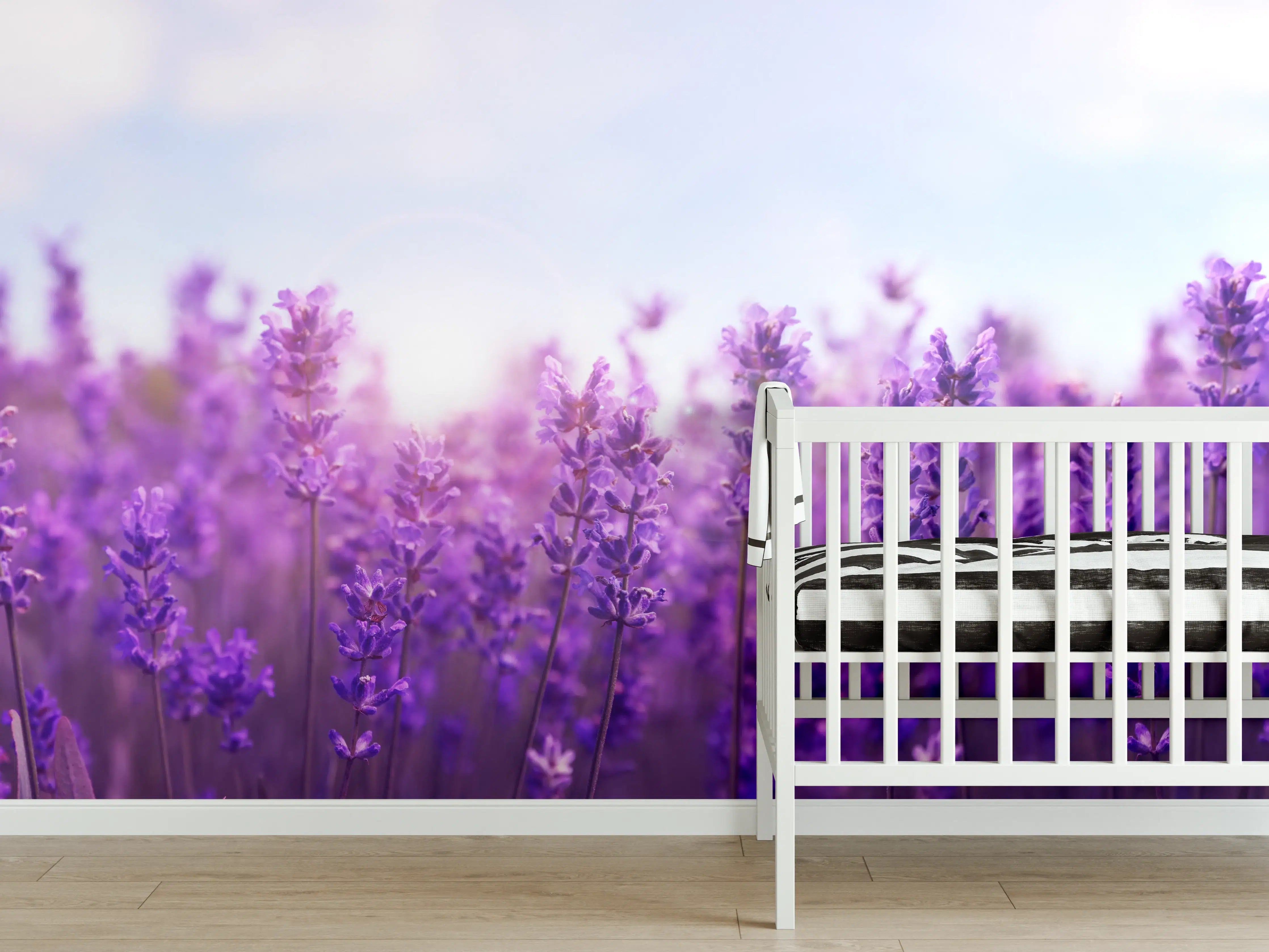 Babyzimmer Wandgestaltung - Lavendelfeld in Lila