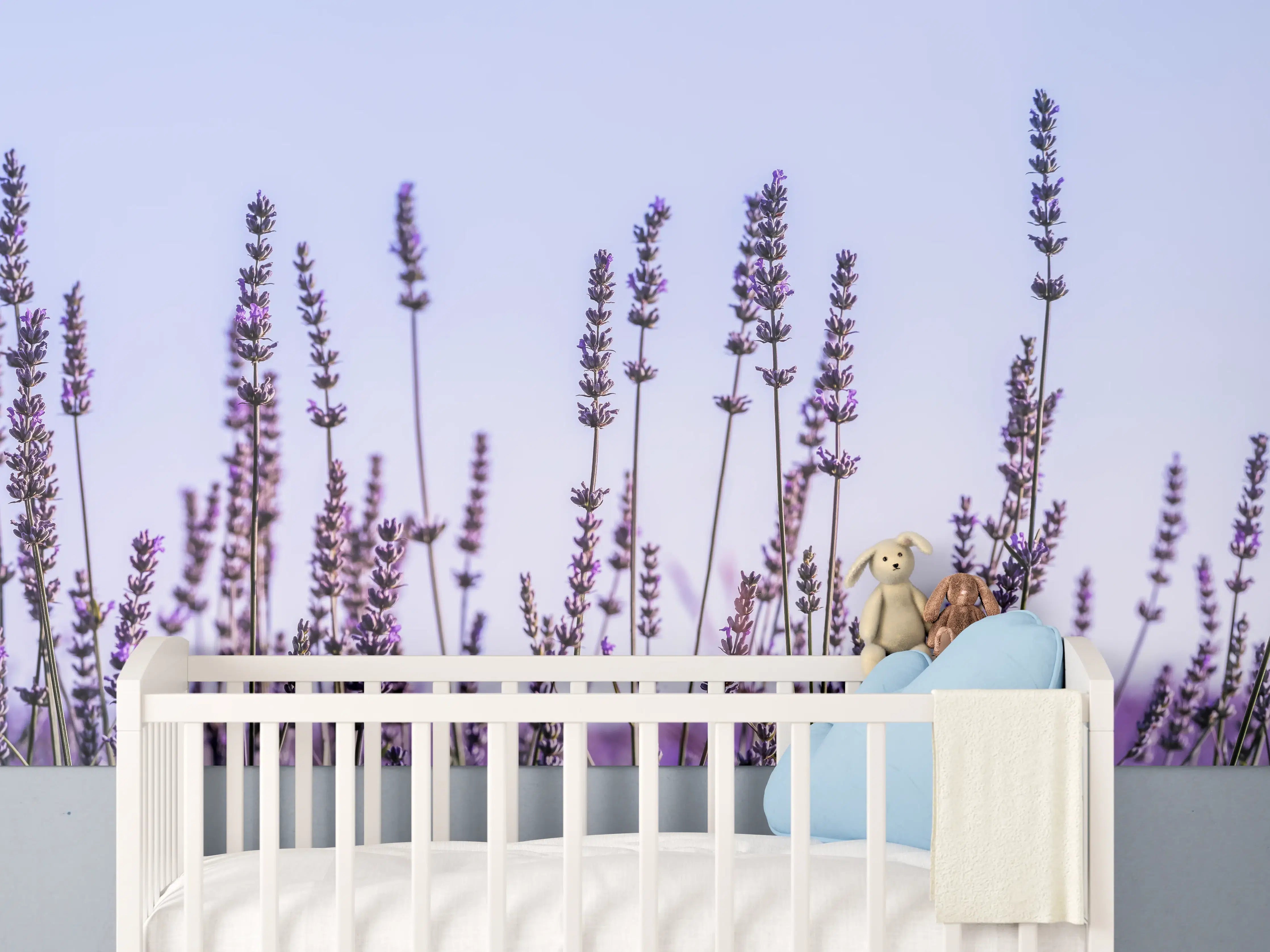 Babyzimmer Wandgestaltung - Lavendelfeld in Lila-Blau