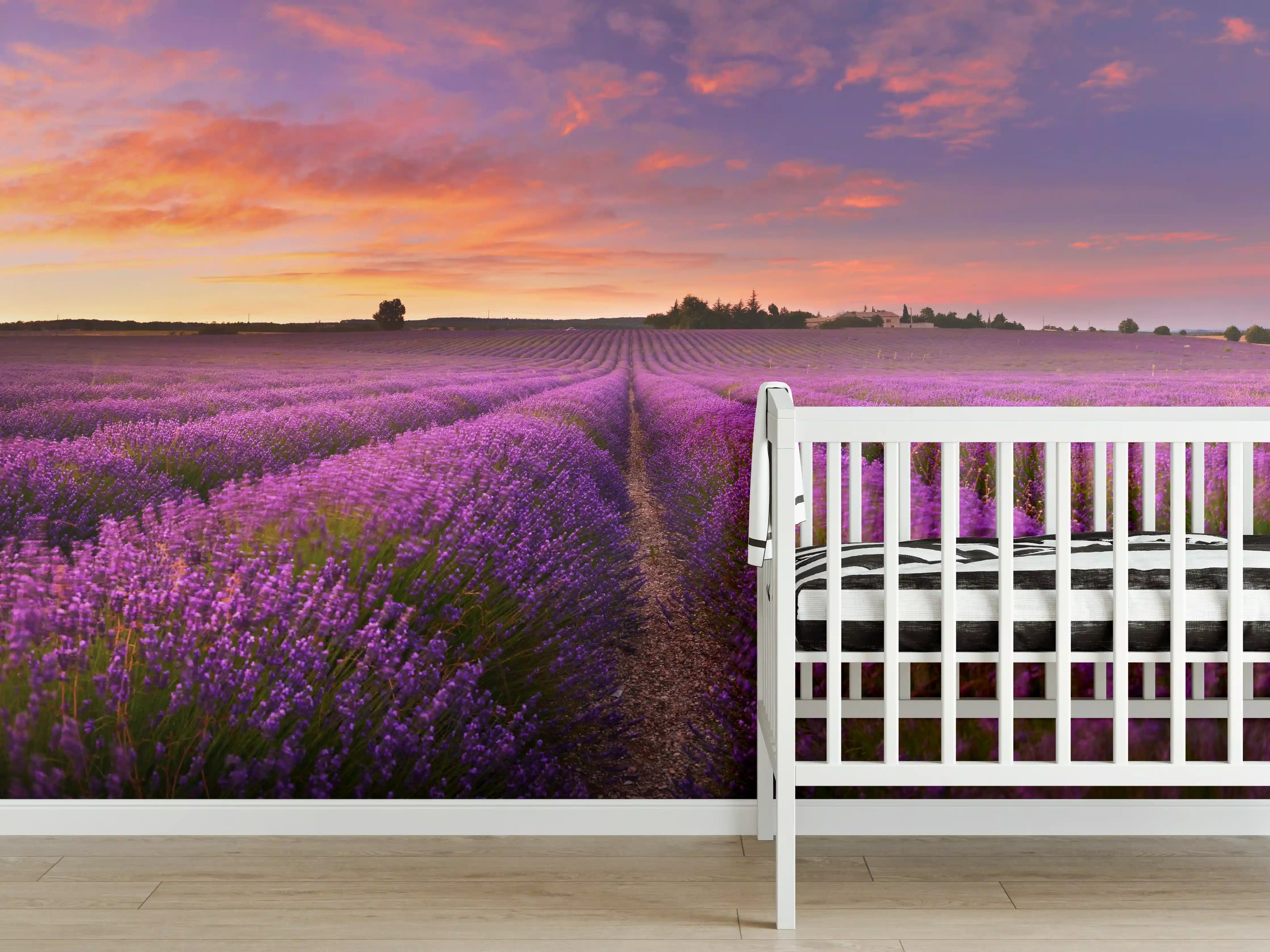 Babyzimmer Wandgestaltung - Lavendelfeld in der Morgendämmerung