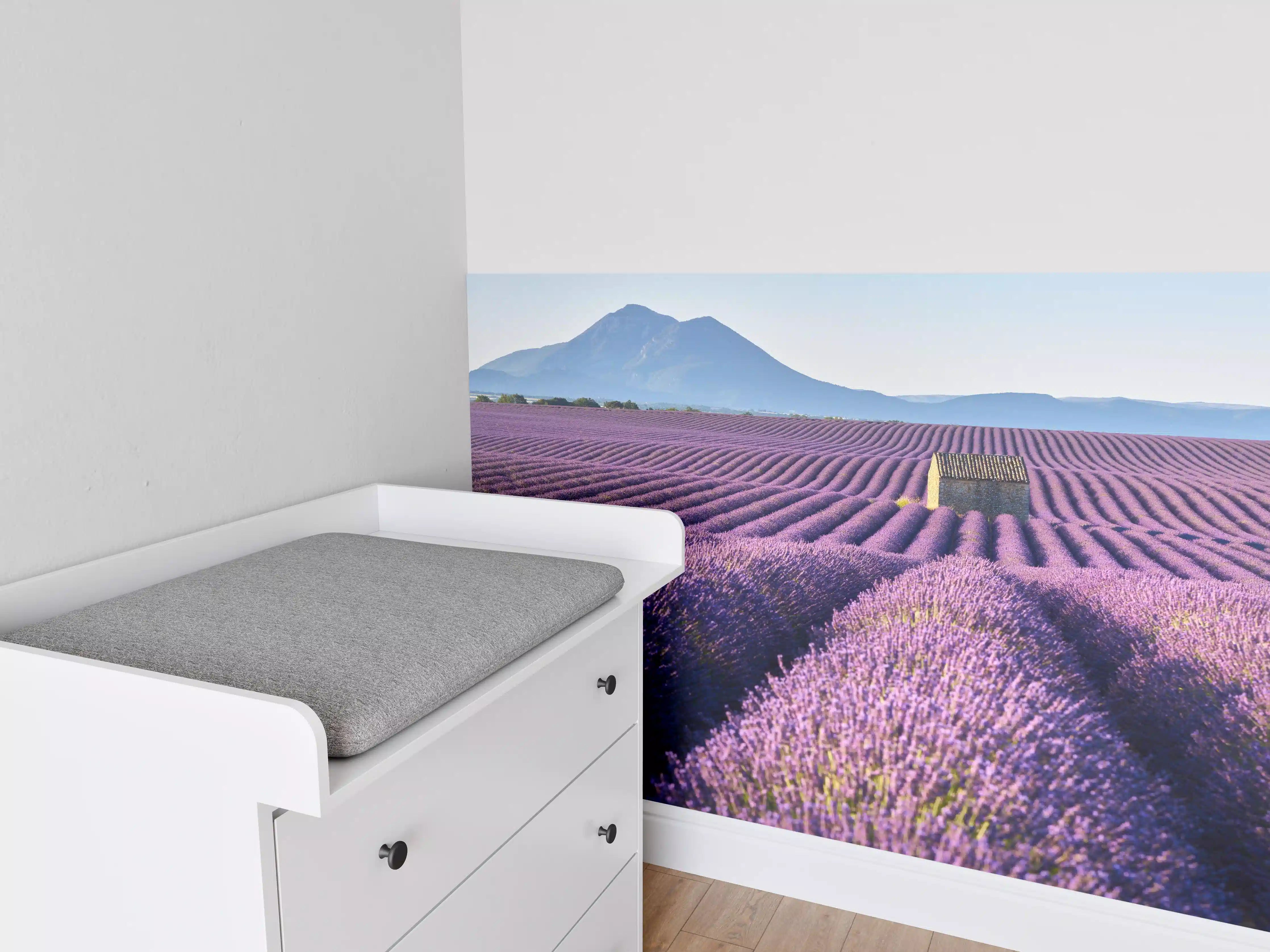 Babyzimmer Wandgestaltung - Lavendelfelder auf dem Plateau de Valensole 