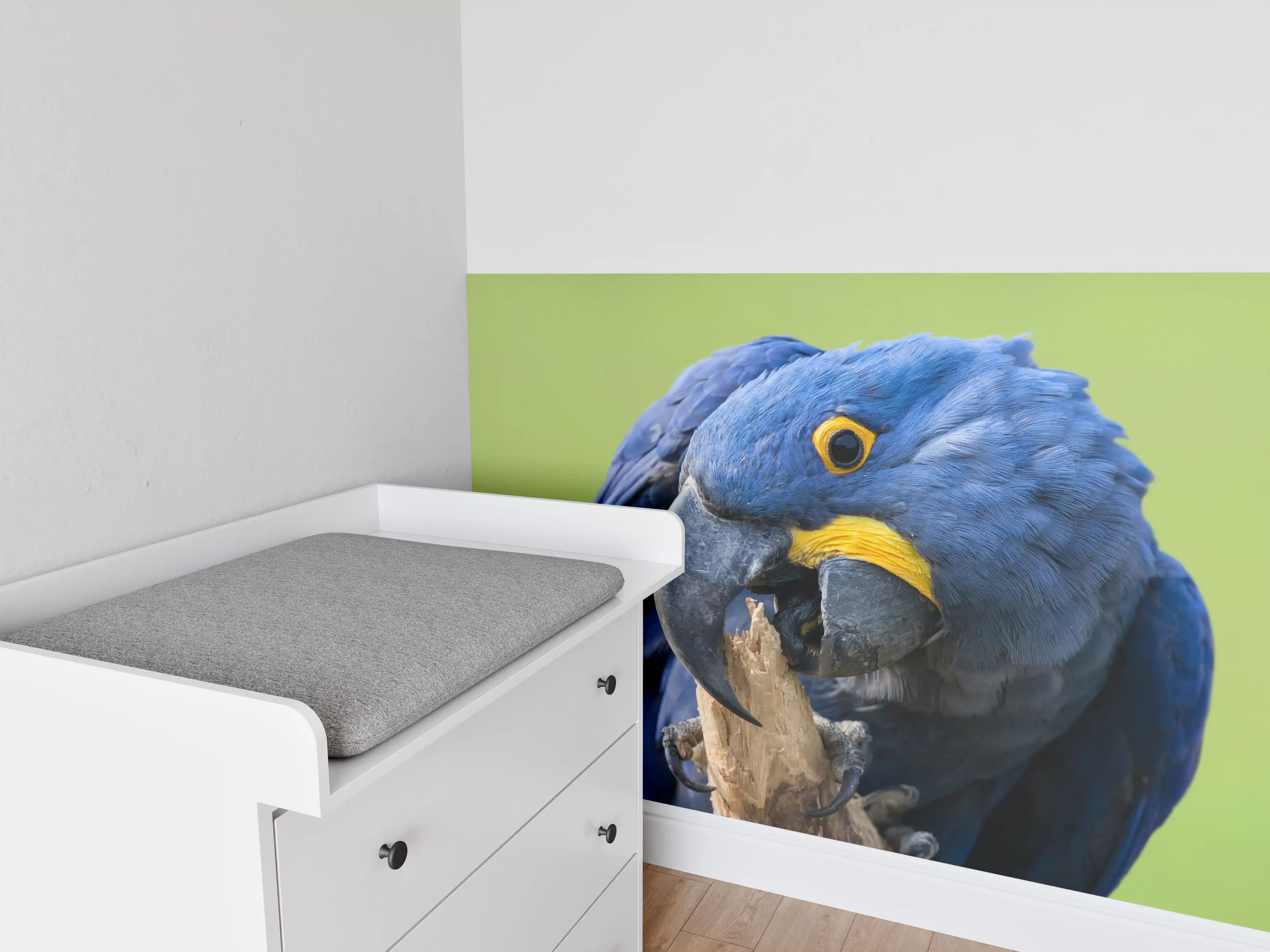 Babyzimmer Wandgestaltung - Lebendige Papageien in natürlicher Umgebung