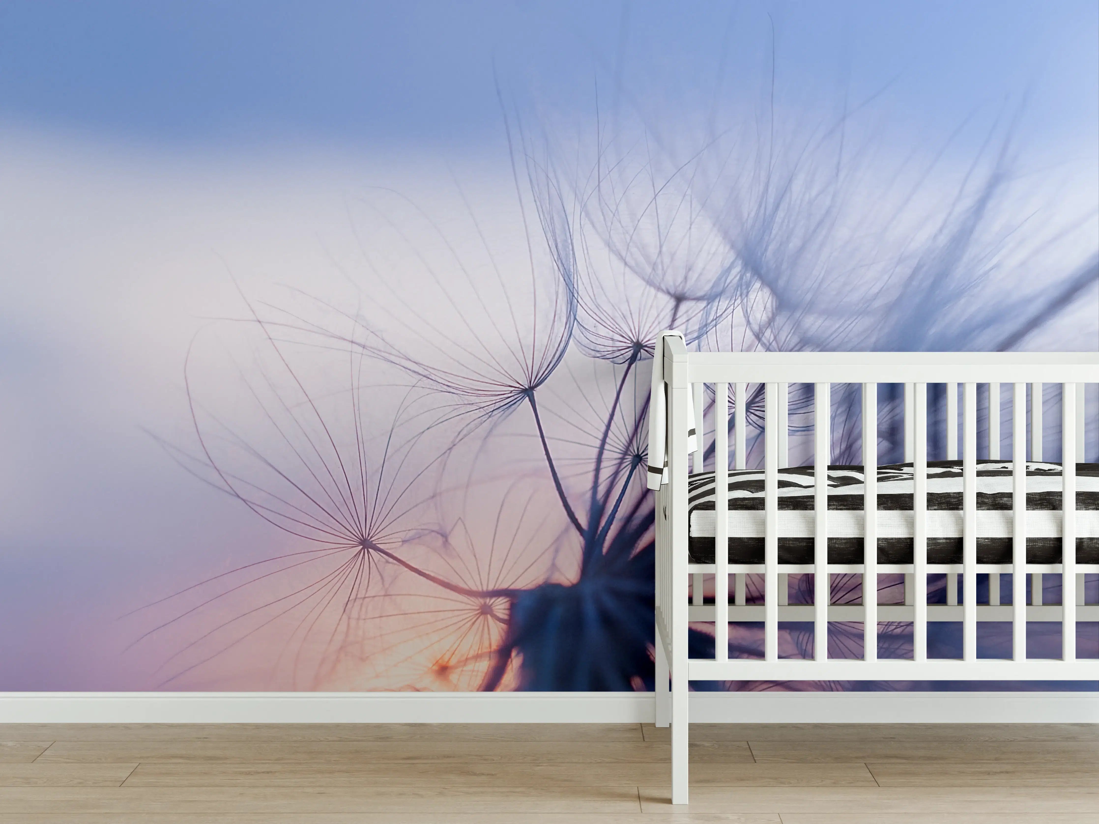 Babyzimmer Wandgestaltung - Leicht verschwommene Pusteblume vor Sonnenuntergang