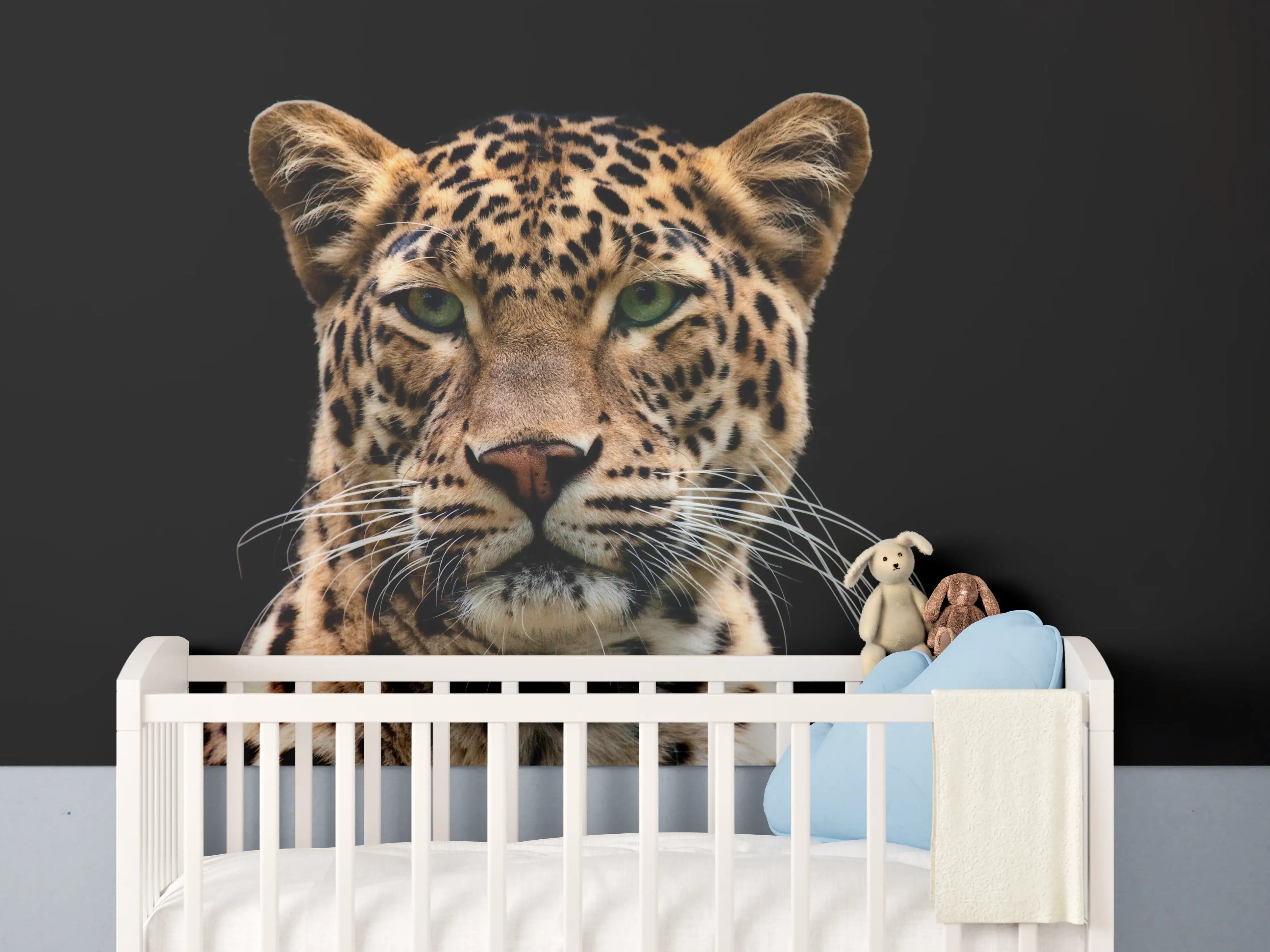 Babyzimmer Wandgestaltung - Leopard mit intensiven Blick vor dunklem Hintergrund