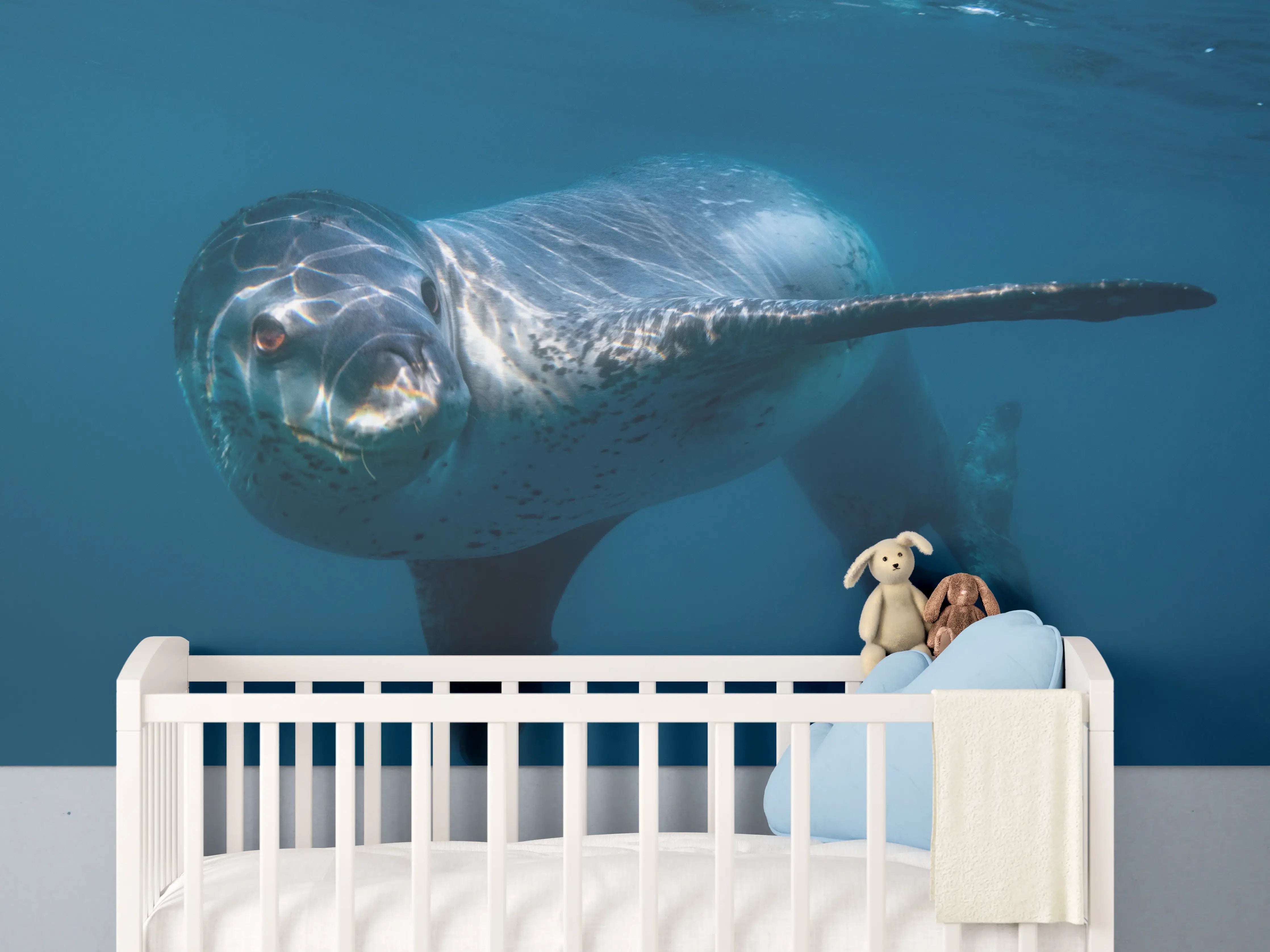Babyzimmer Wandgestaltung - Leopardenrobbe alleine unter Wasser im Ozean