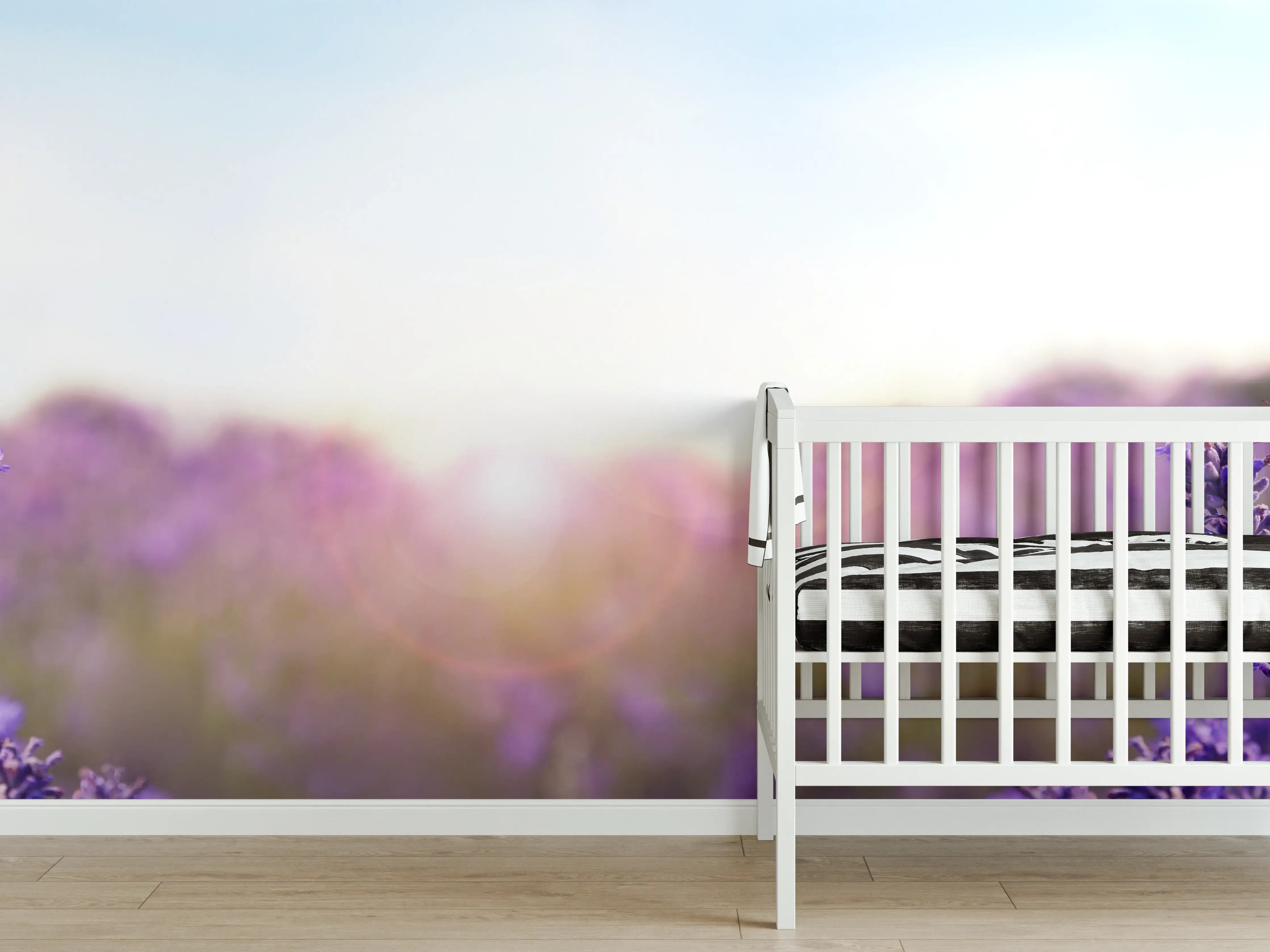 Babyzimmer Wandgestaltung - Lila Lavendelfeld im Morgenlicht