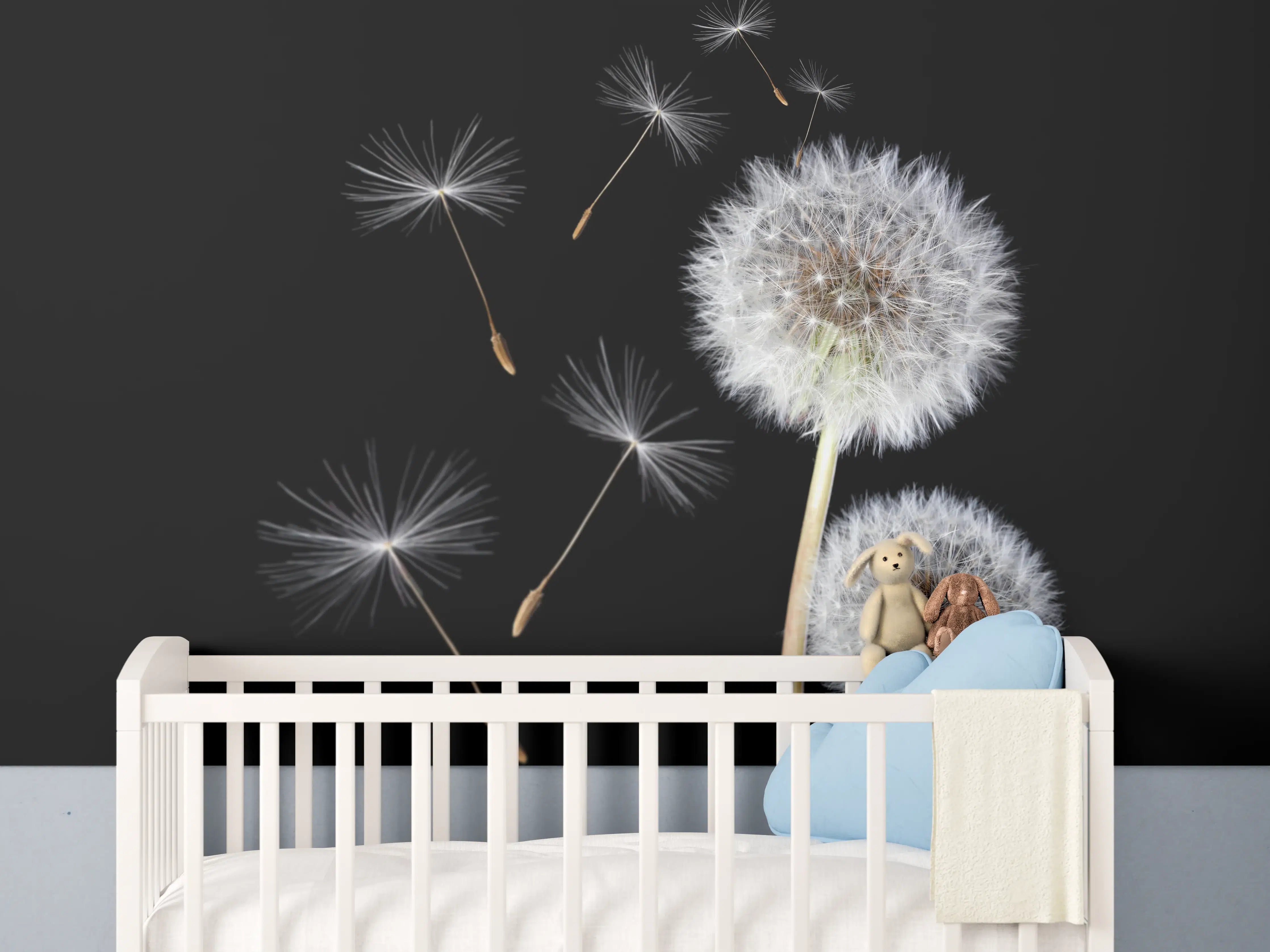 Babyzimmer Wandgestaltung - Löwenzahn auf schwarzem Hintergrund