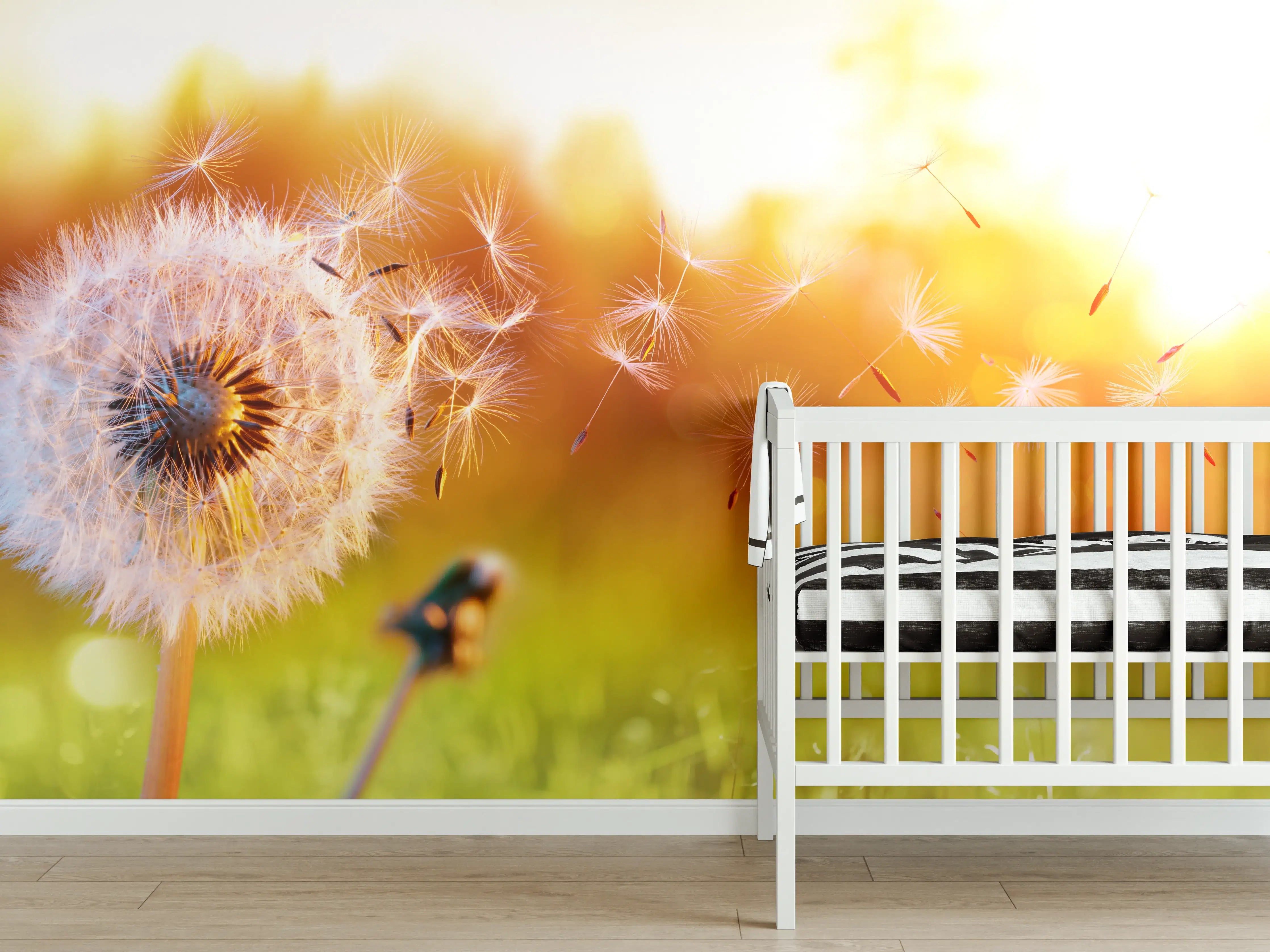 Babyzimmer Wandgestaltung - Löwenzahn im Feld bei Sonnenuntergang
