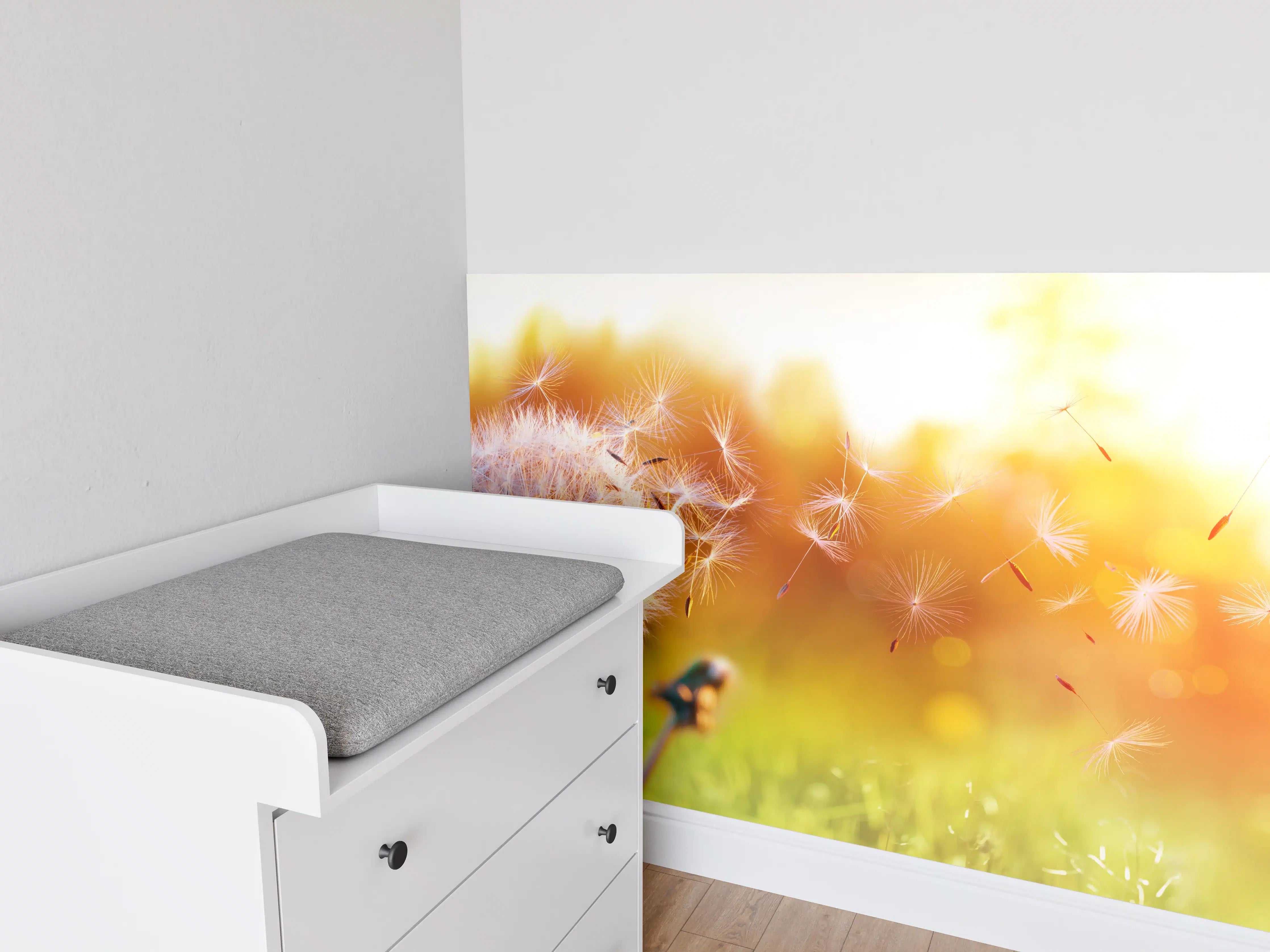 Babyzimmer Wandgestaltung - Löwenzahn im Feld bei Sonnenuntergang