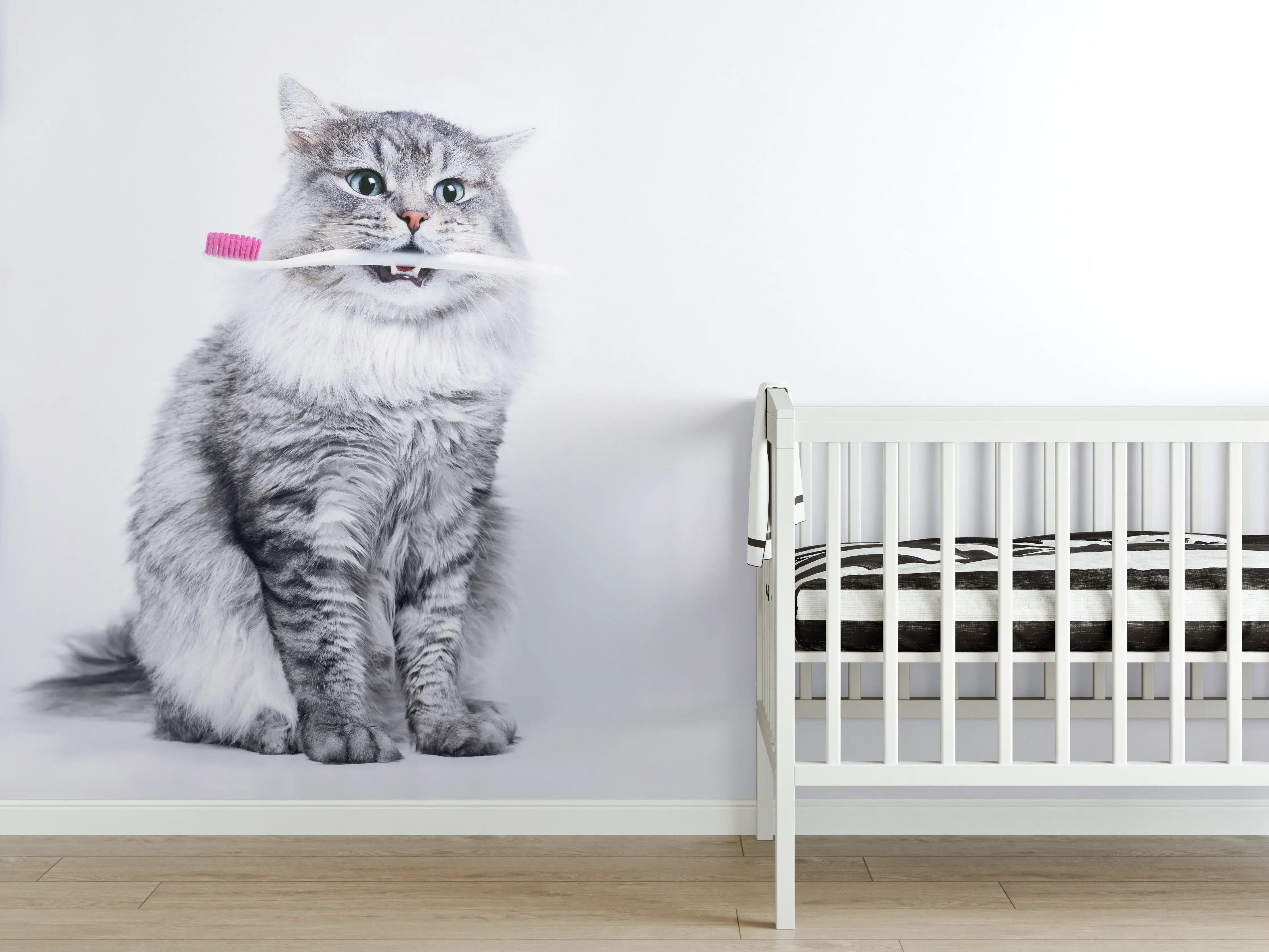 Babyzimmer Wandgestaltung - Lustige Katze mit Zahnbürste