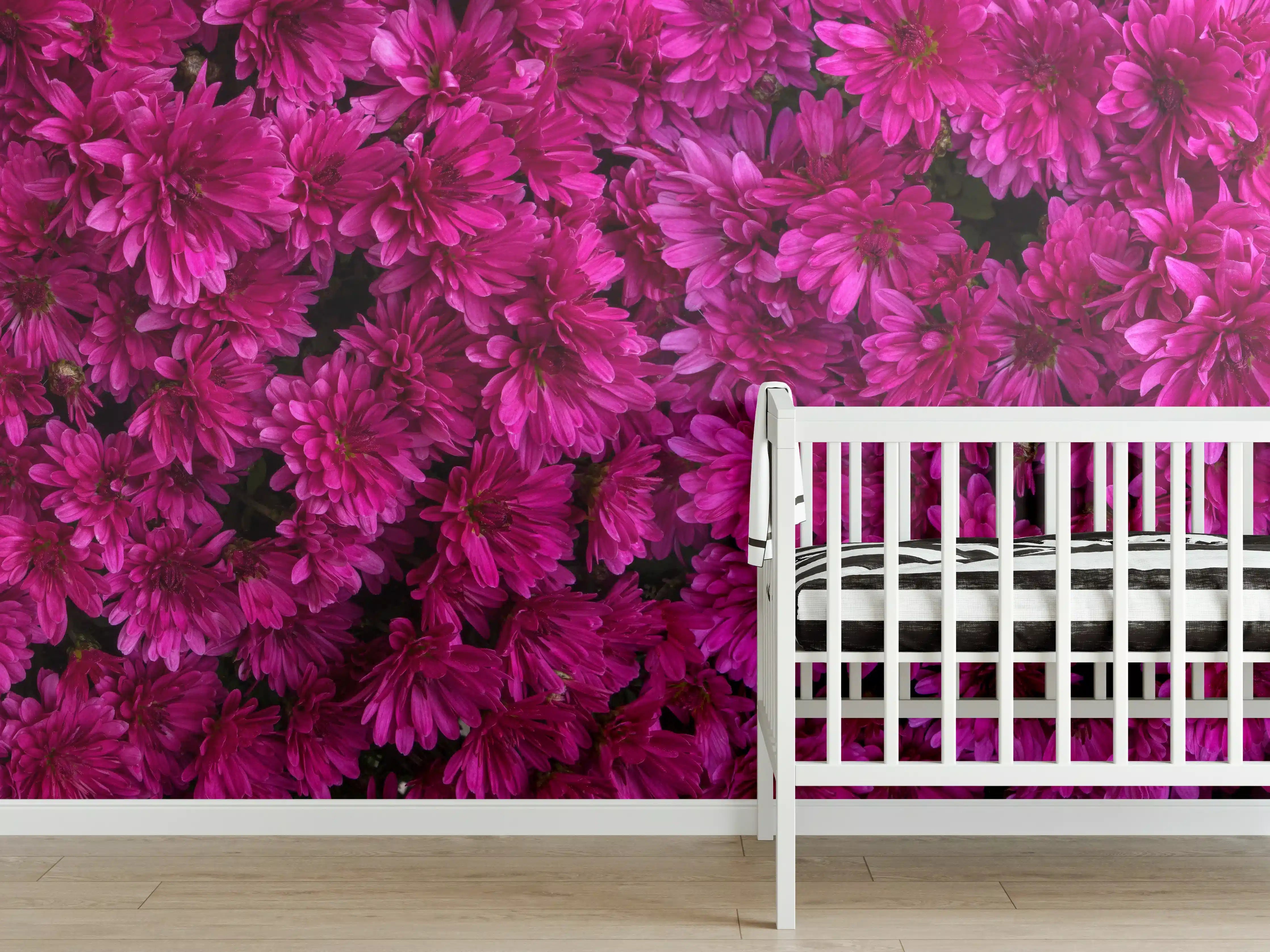 Babyzimmer Wandgestaltung - Magenta Blüten von Chrysanthemen