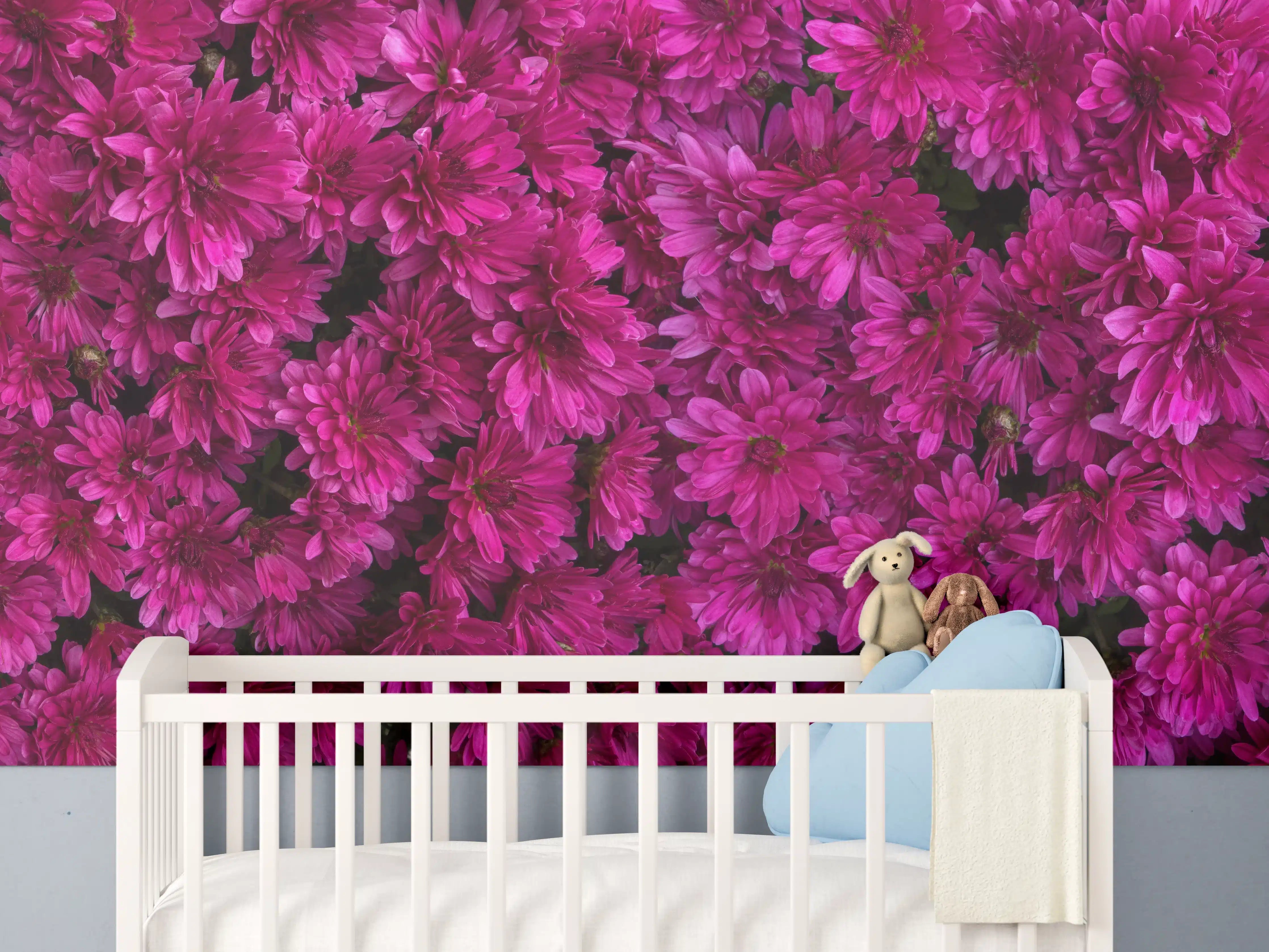 Babyzimmer Wandgestaltung - Magenta Blüten von Chrysanthemen