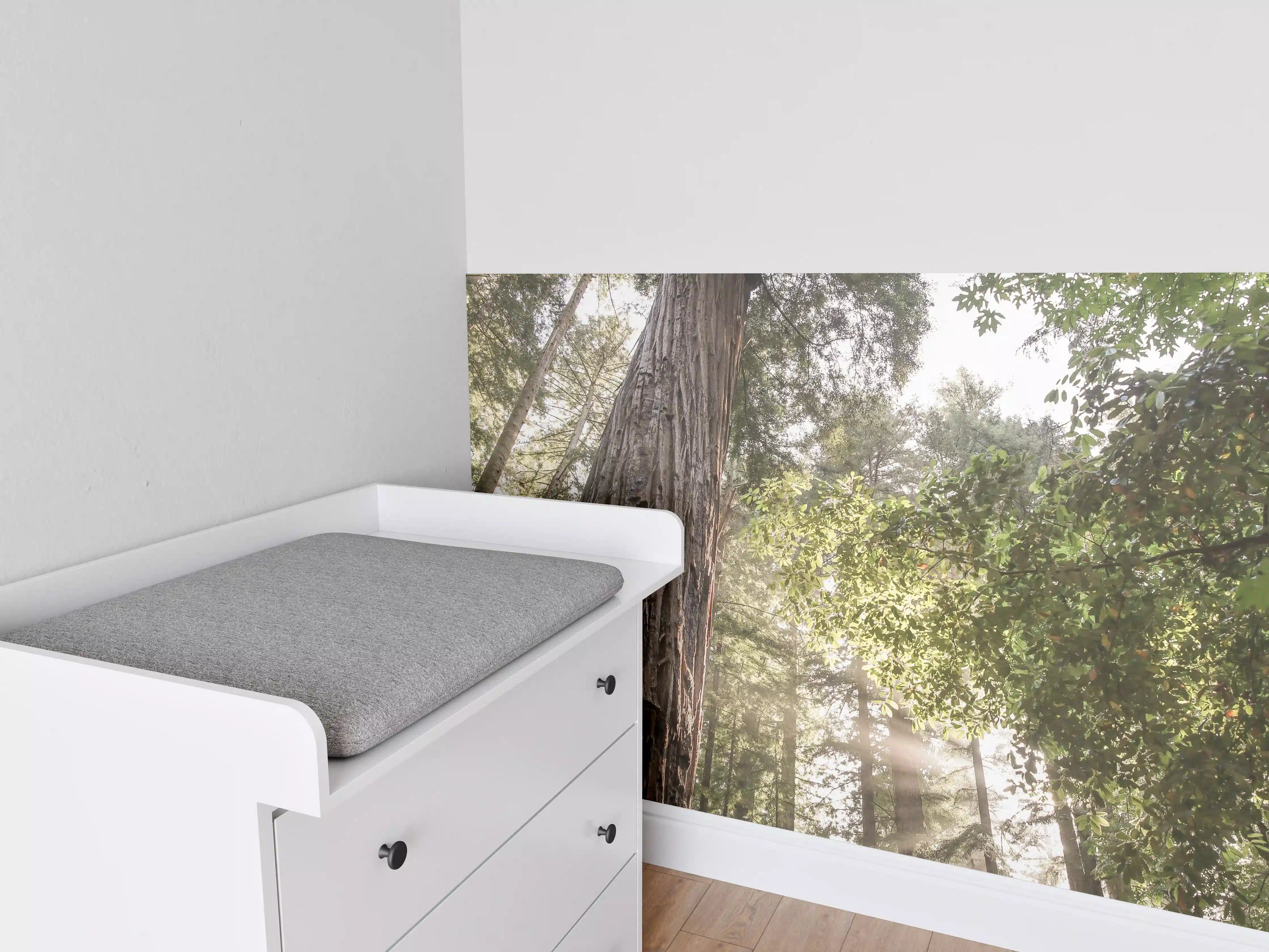 Babyzimmer Wandgestaltung - Majestätischer Baum im Sonnenlicht